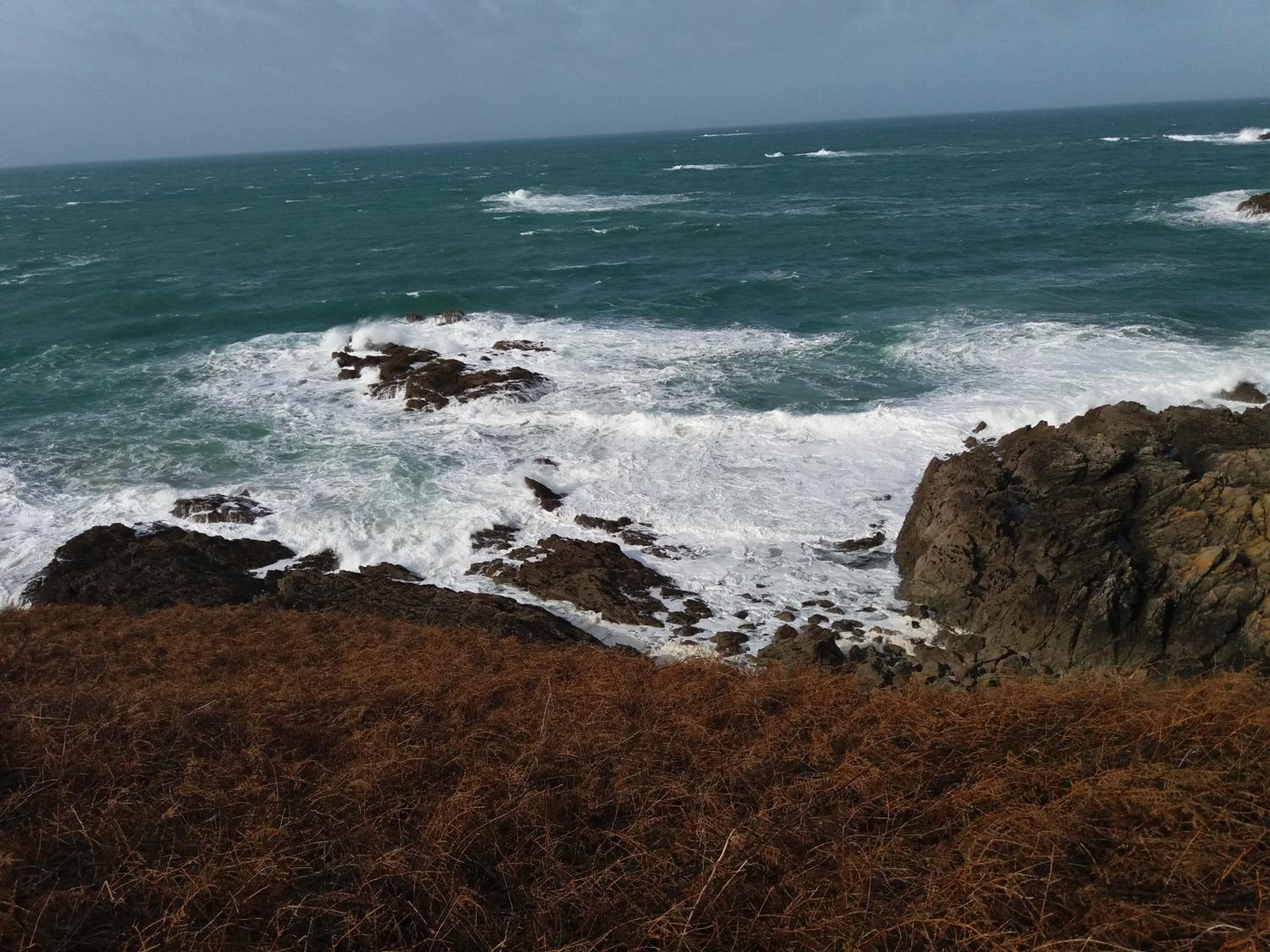 Photo 16