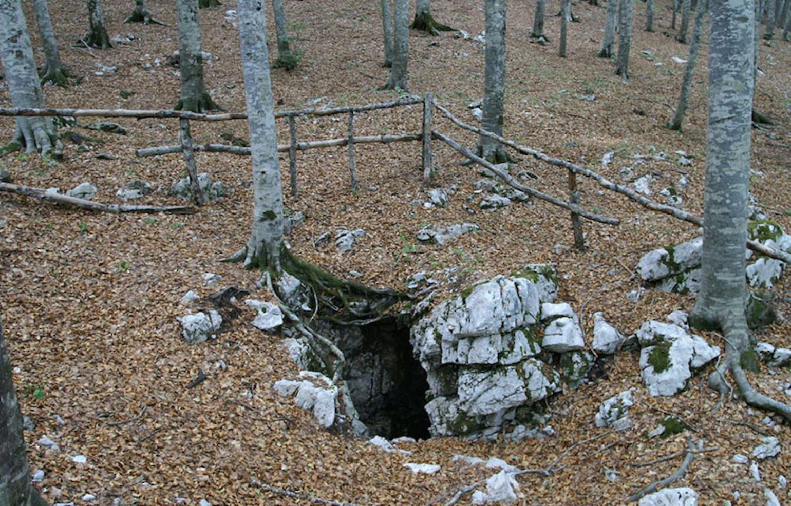 Photo 24