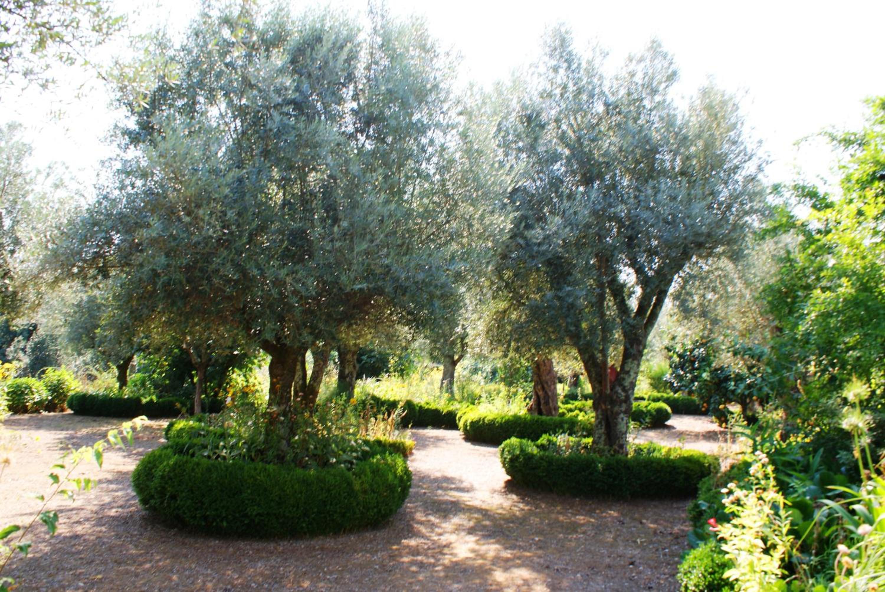Quinta Da Agra