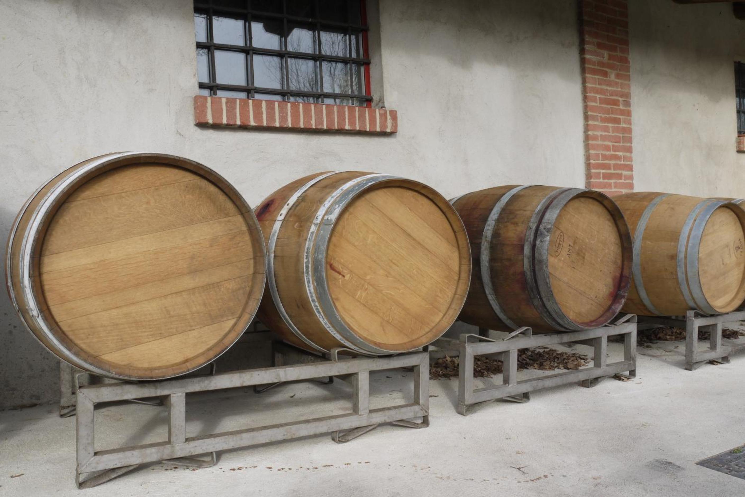 Agriturismo Viticcio