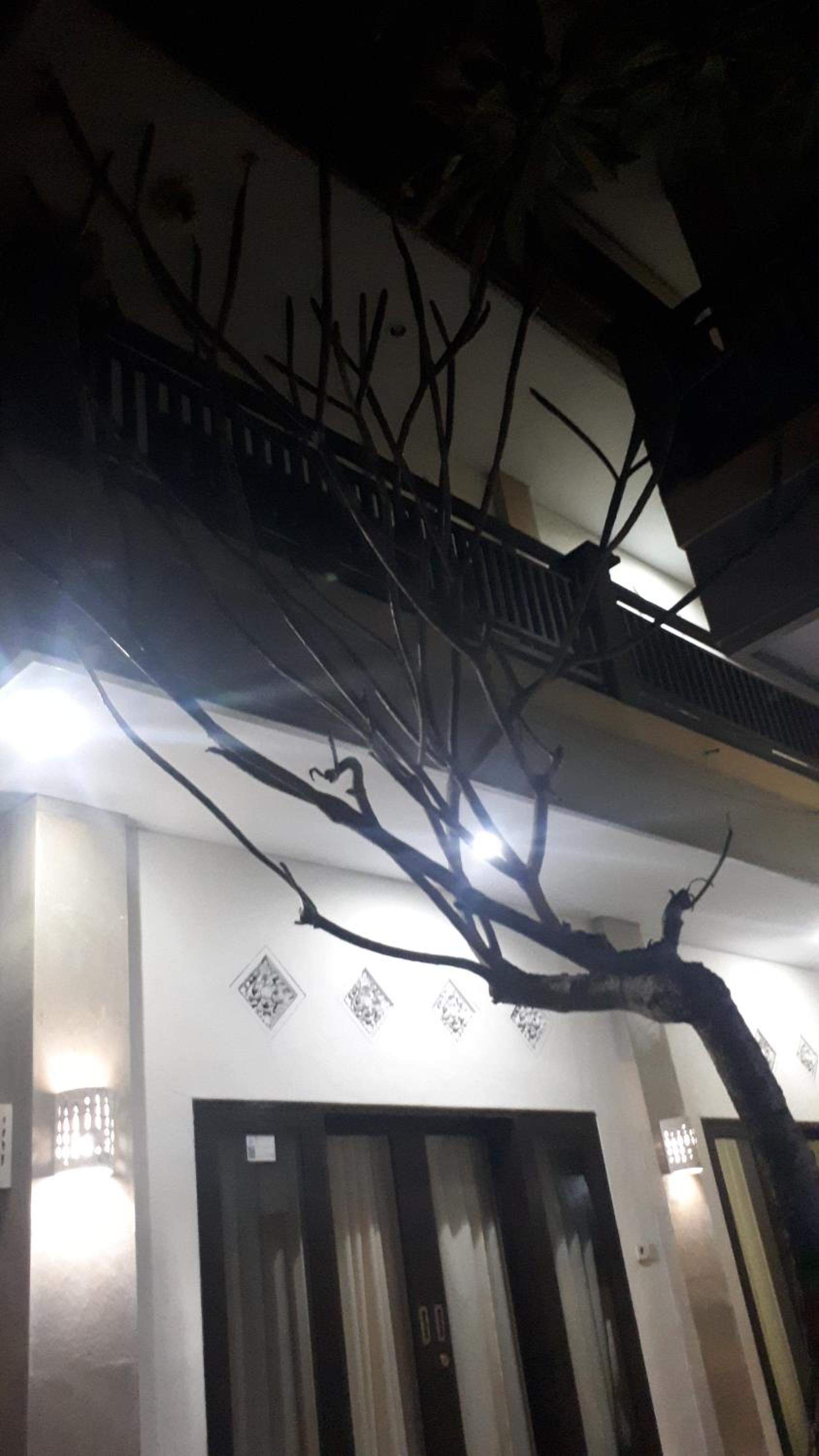 Adijaya homestay view 4