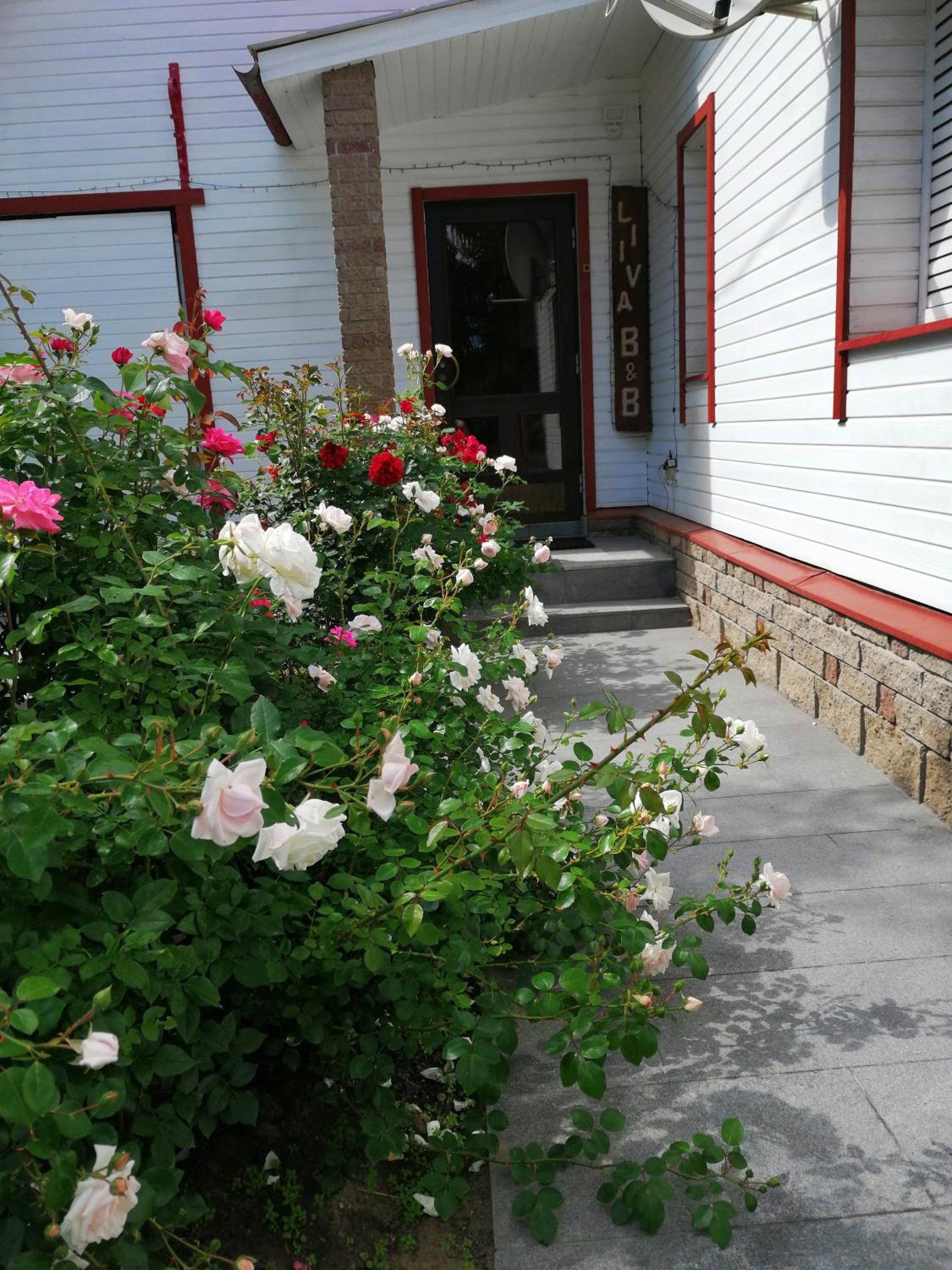 Photo 12