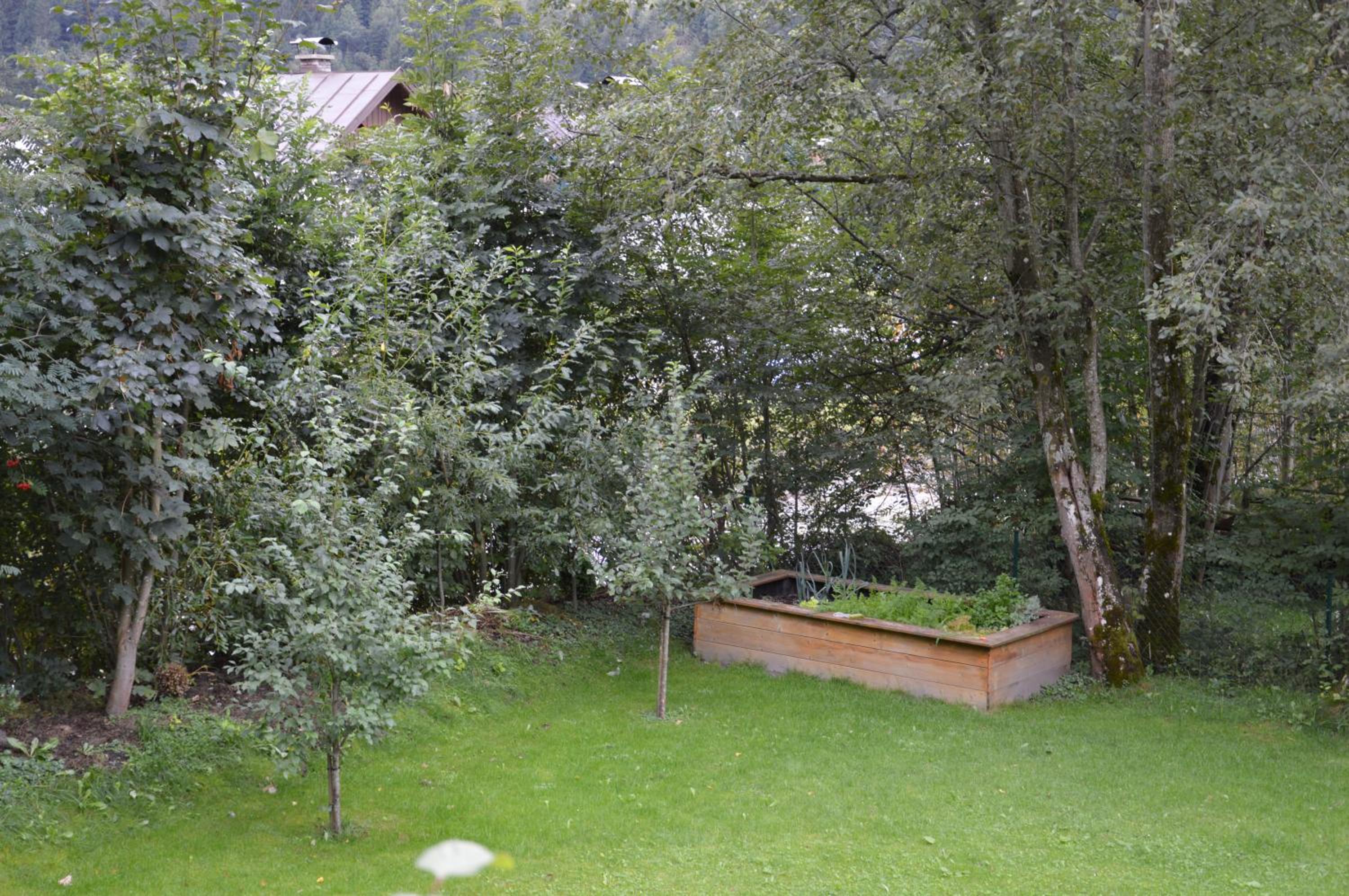 Alte Schmiede