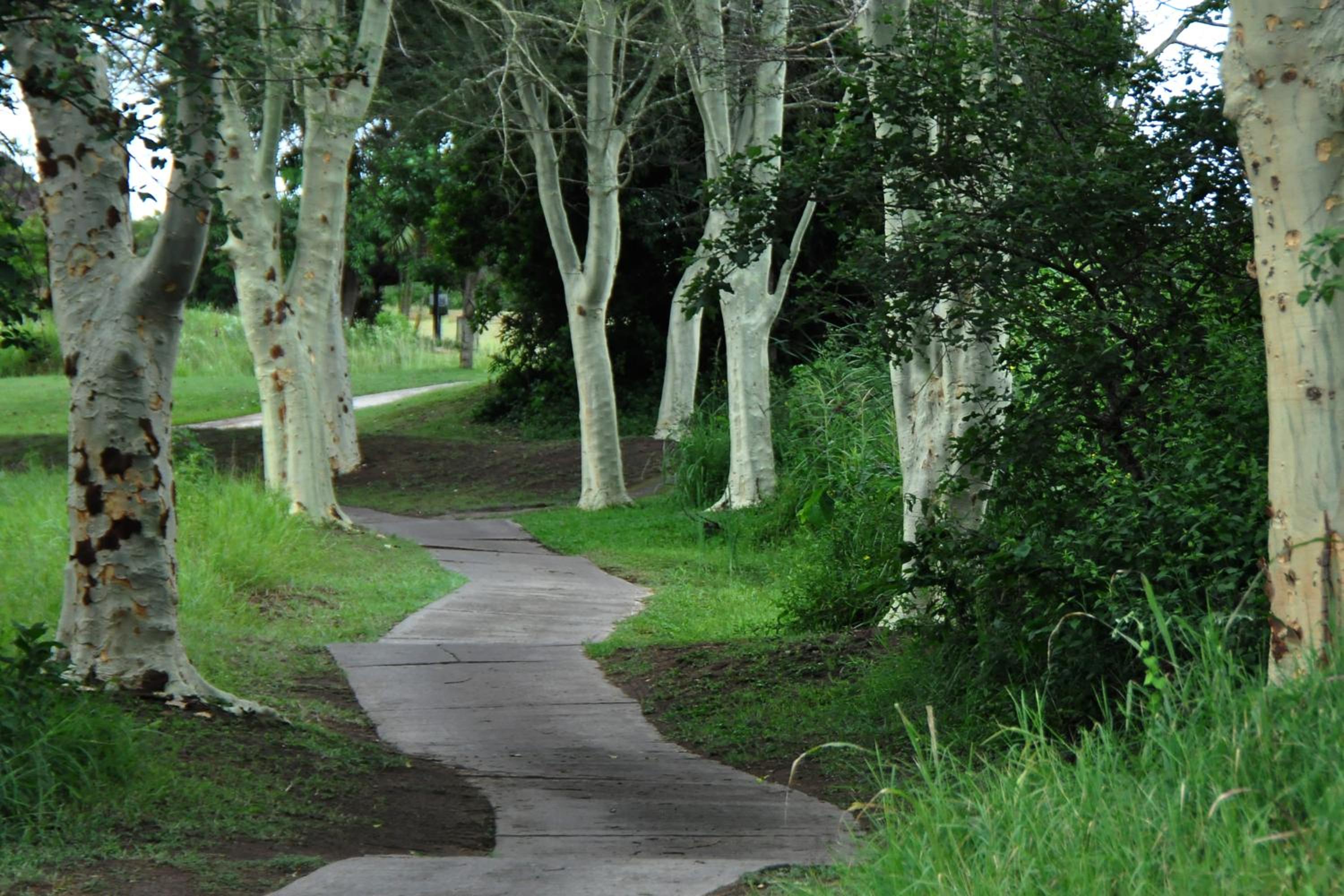 Hazyview Vacations - Kruger Park Lodge Unit No. 277 - Property Image 6