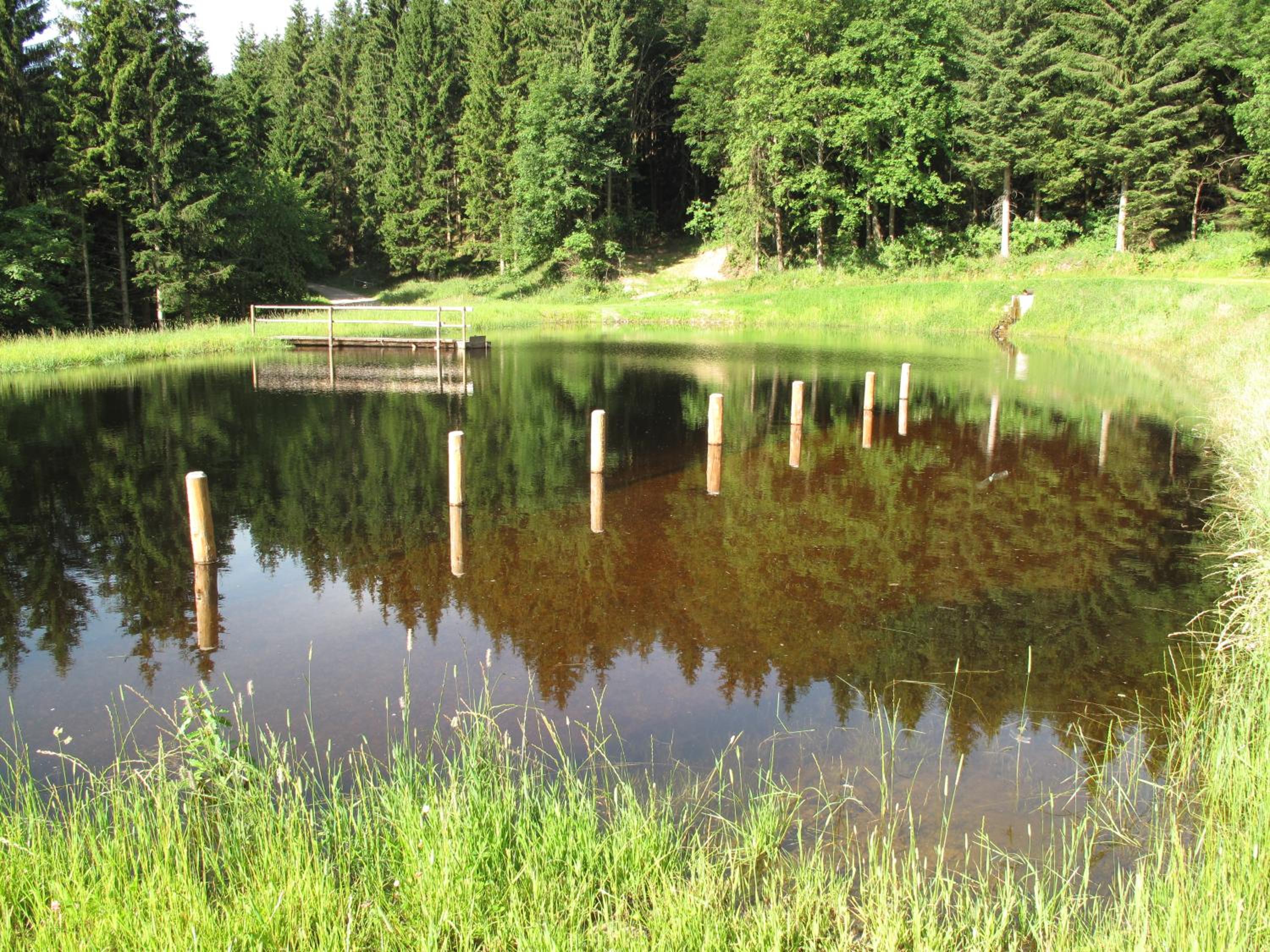 Photo 40