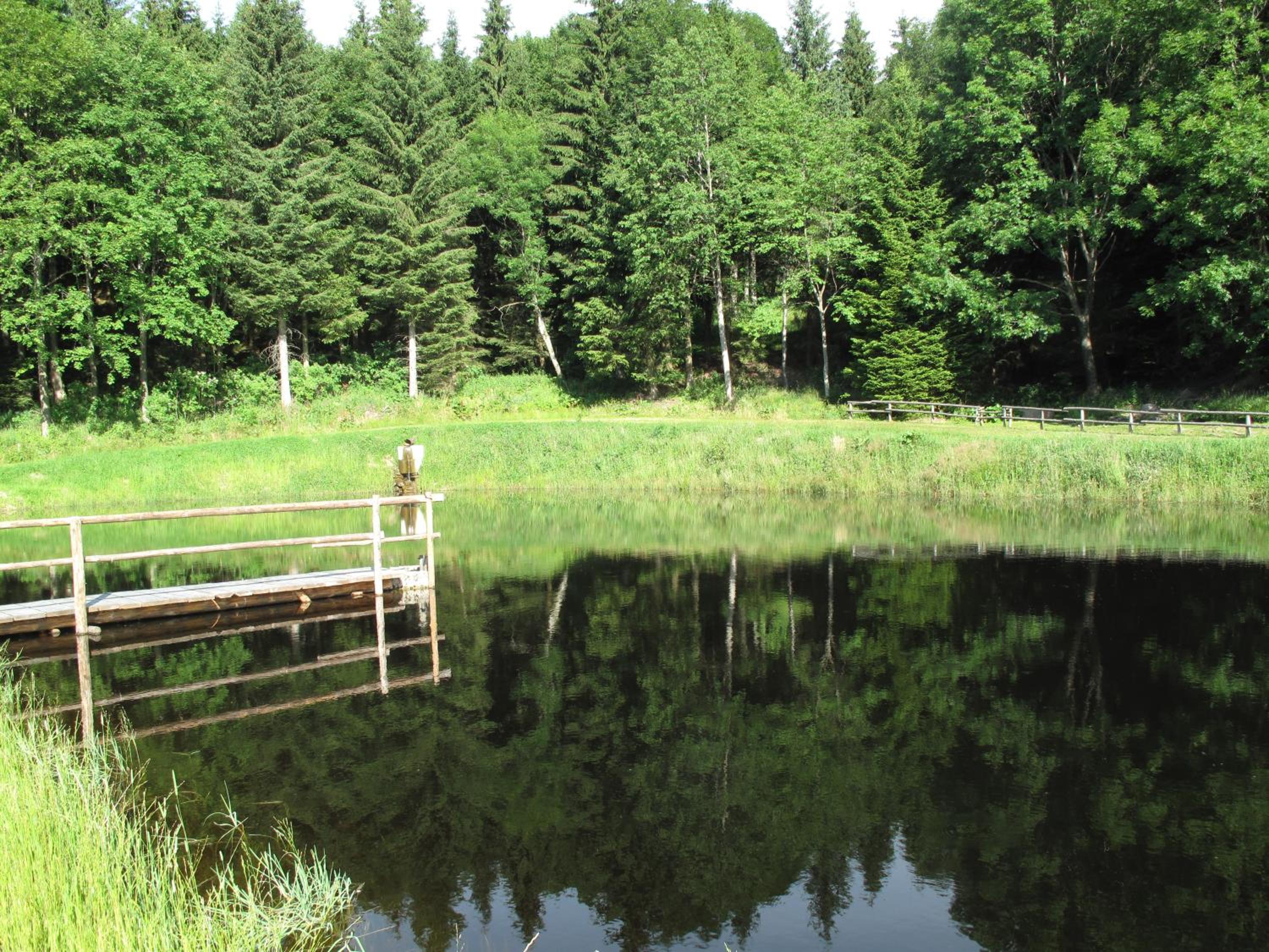 Forsthaus Glashütte view 2