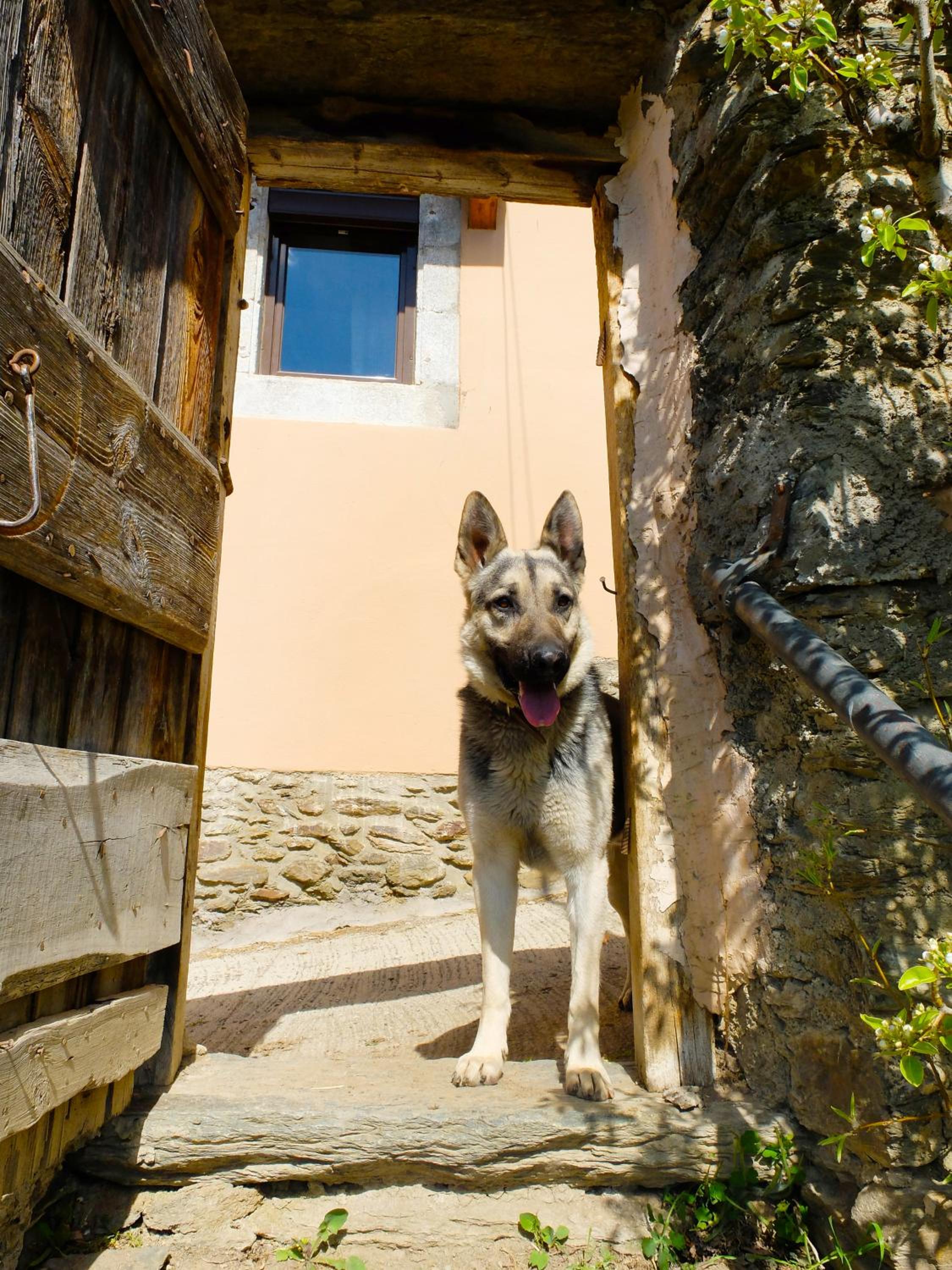 Photo 40
