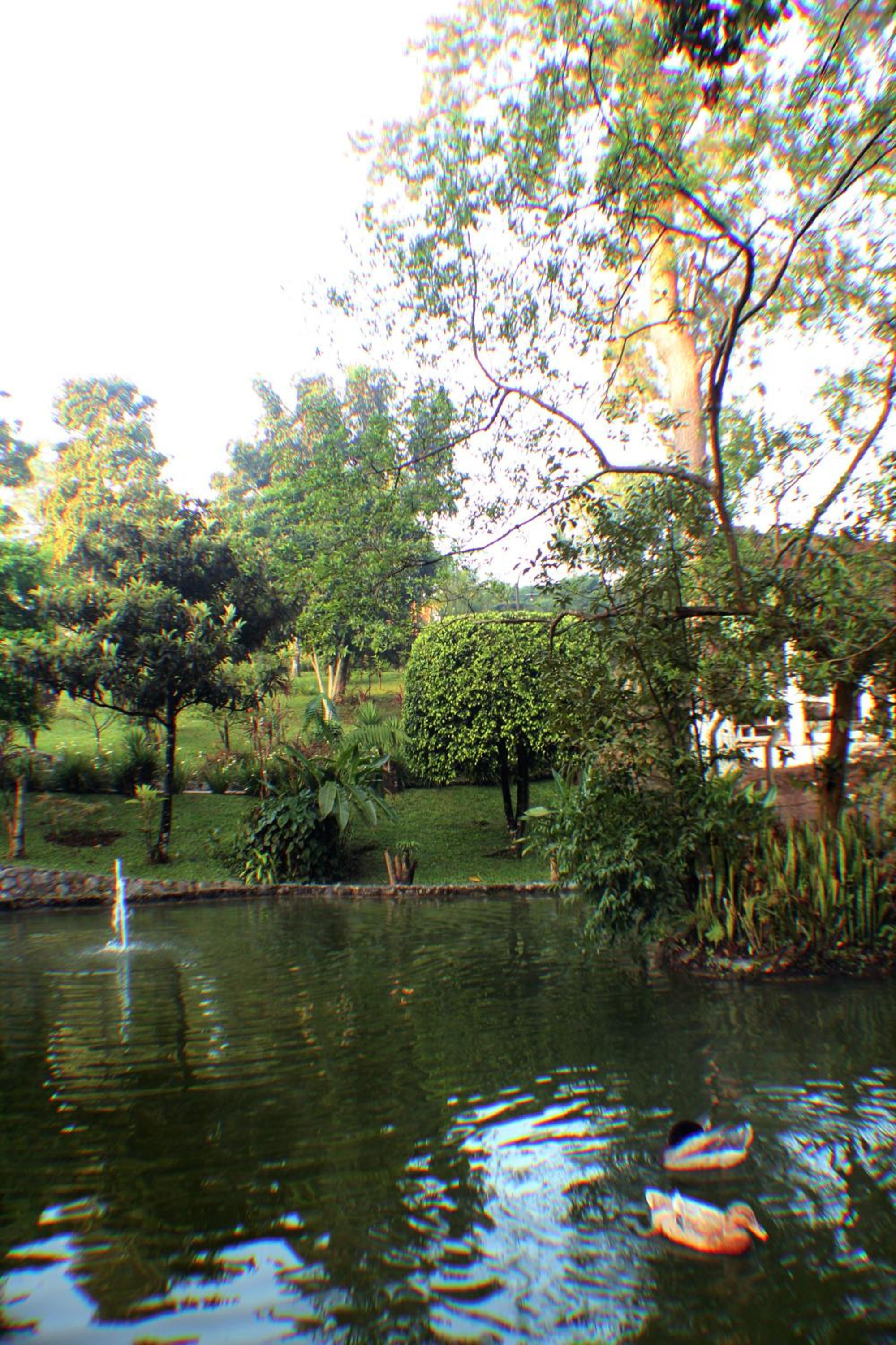 Park Hotel