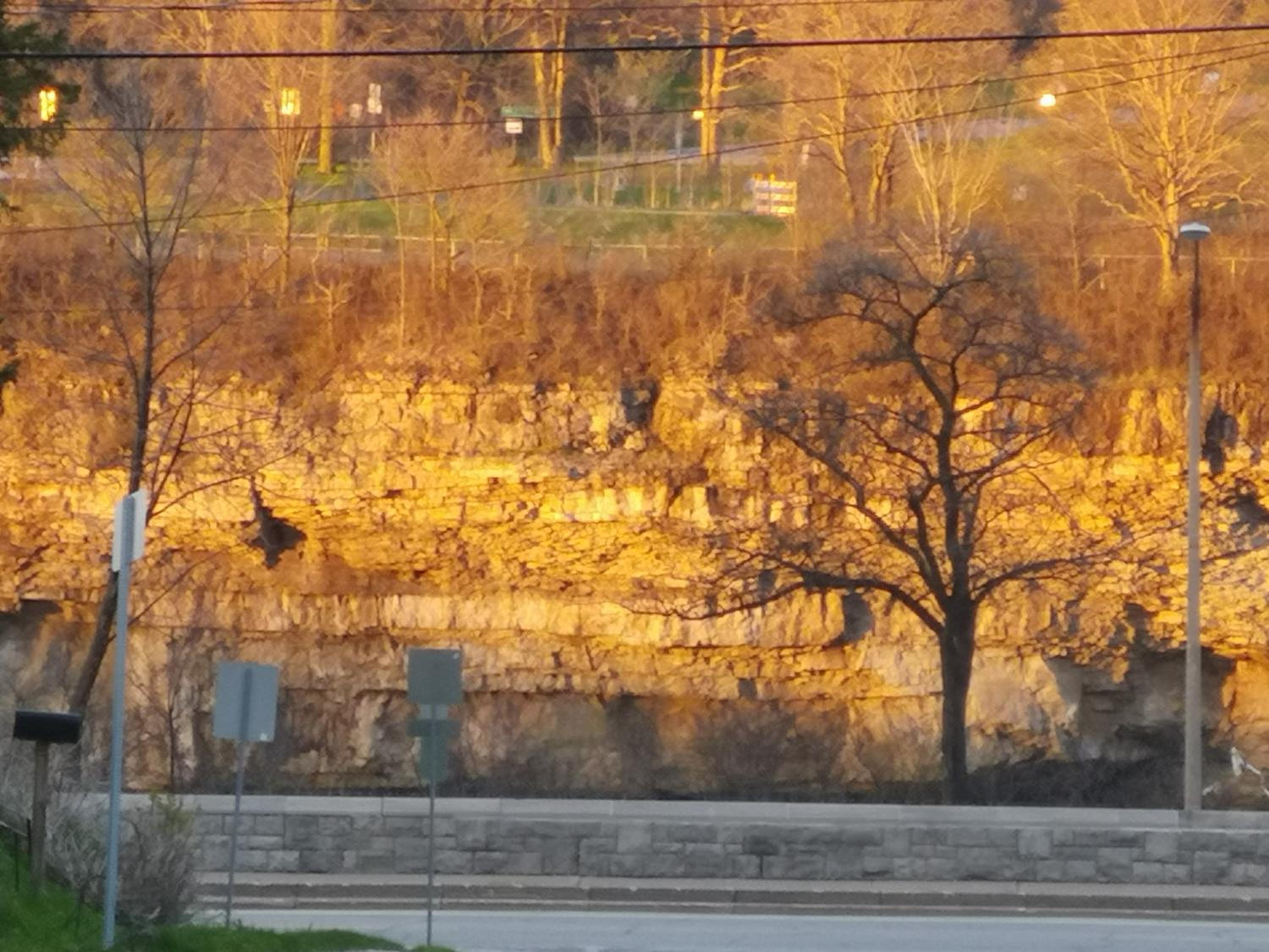 Your Oasis in Niagara Falls Canada