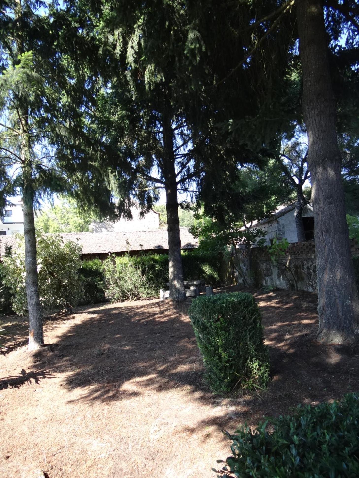 Photo 42