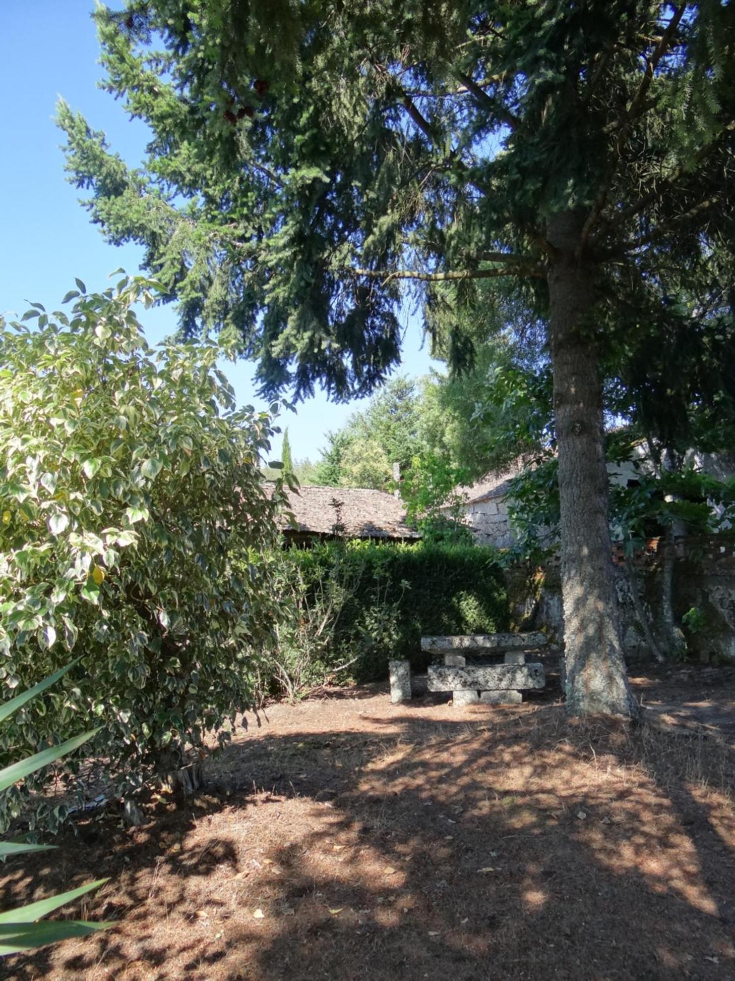 Photo 41