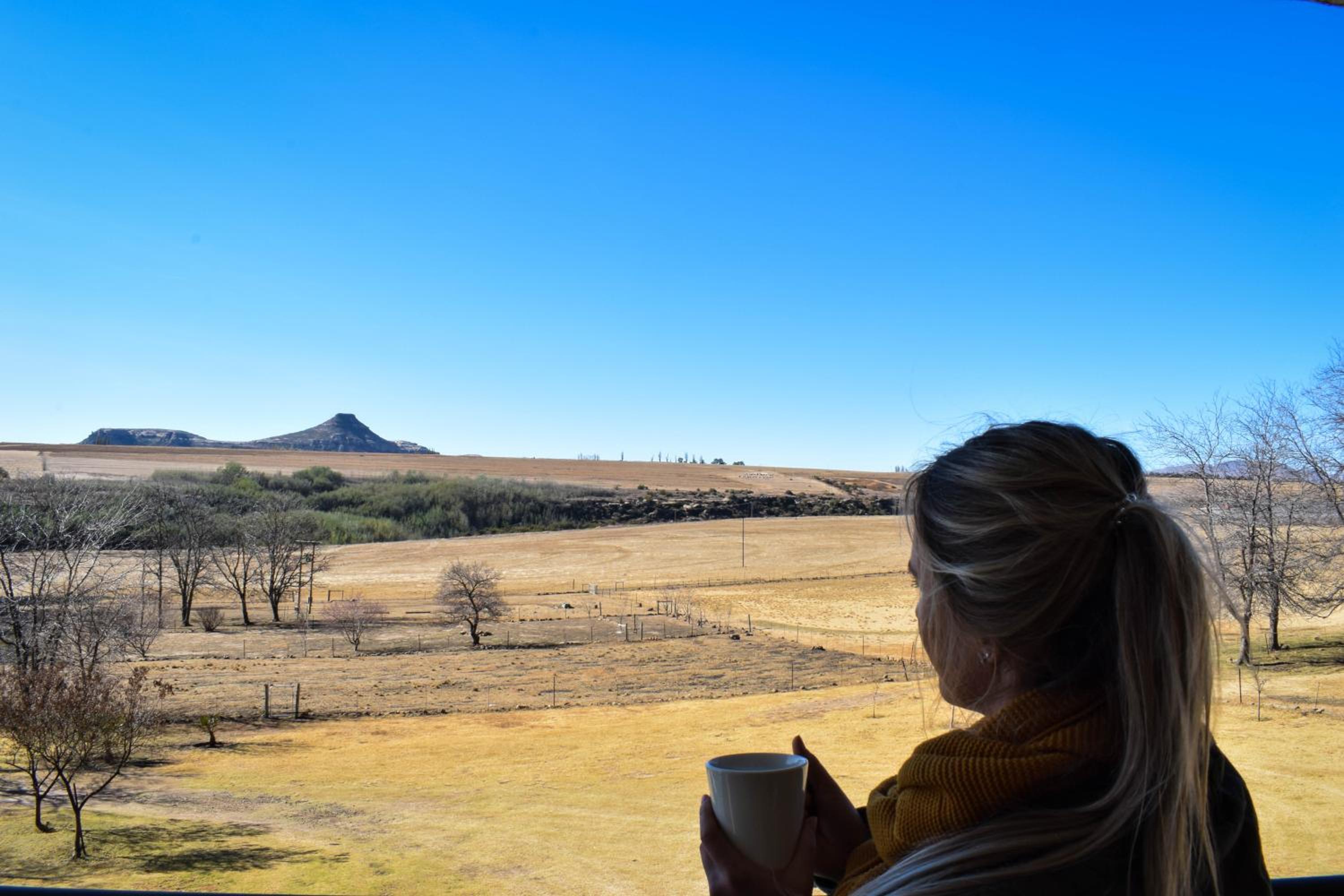 Merino Guest Farm view 4