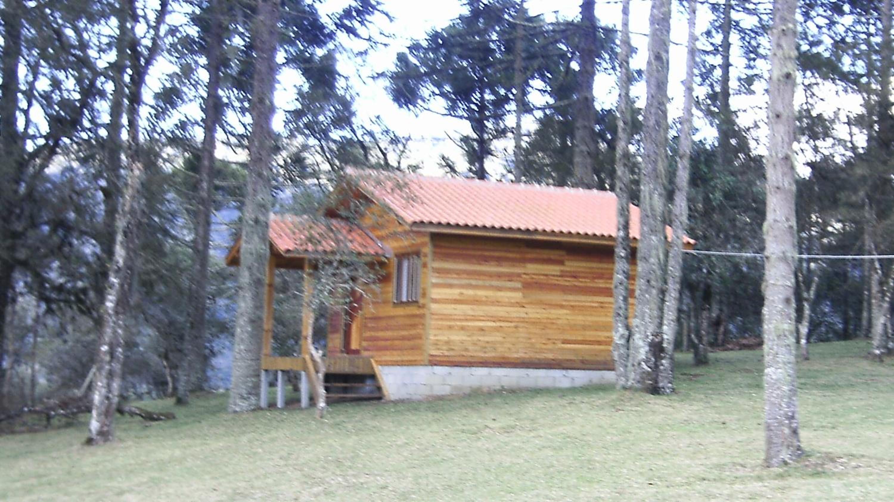 Photo 37