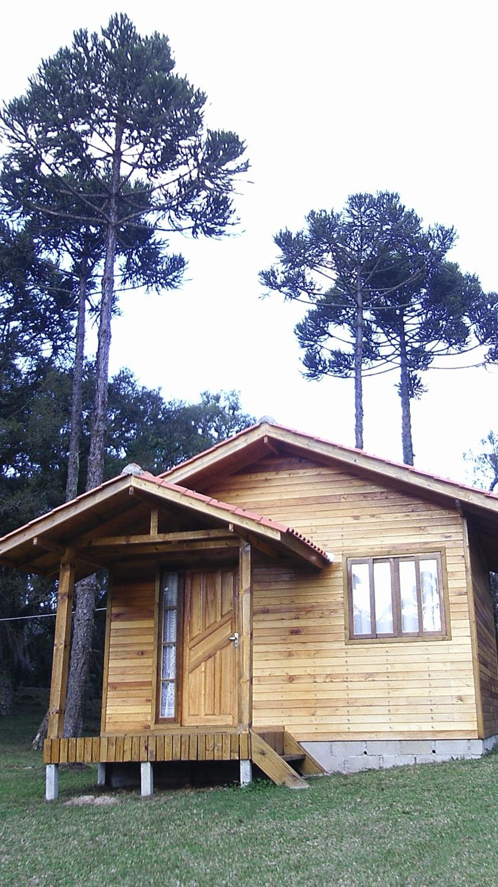 Photo 42