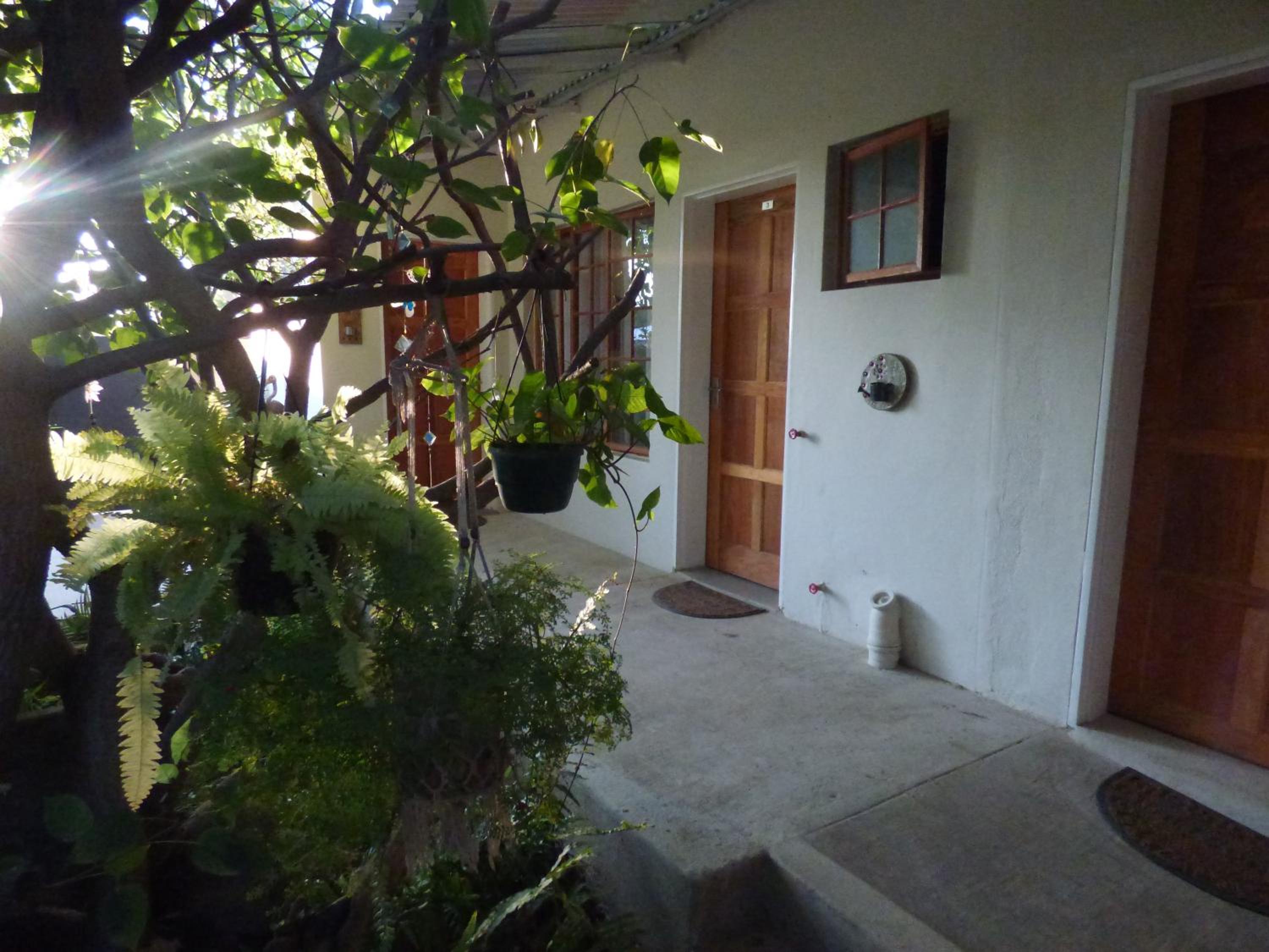 Tsumeb Backpackers & Safari view 4