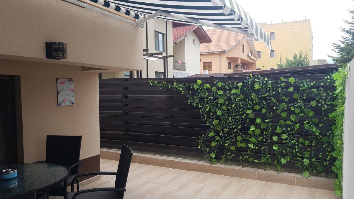 Apartament cu Terasa view 3
