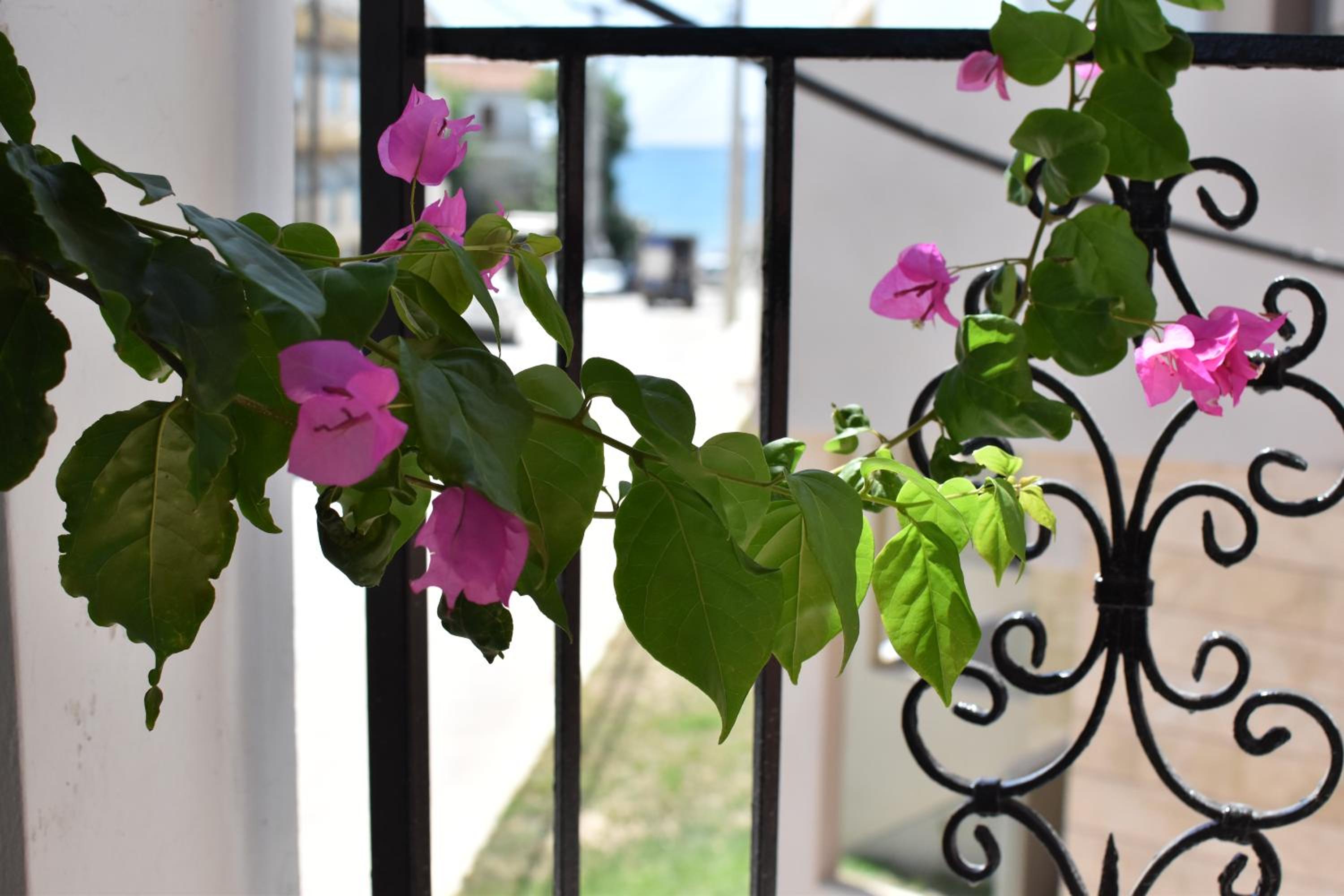 Laganas Vacations - Ephelia gold - Property Image 3