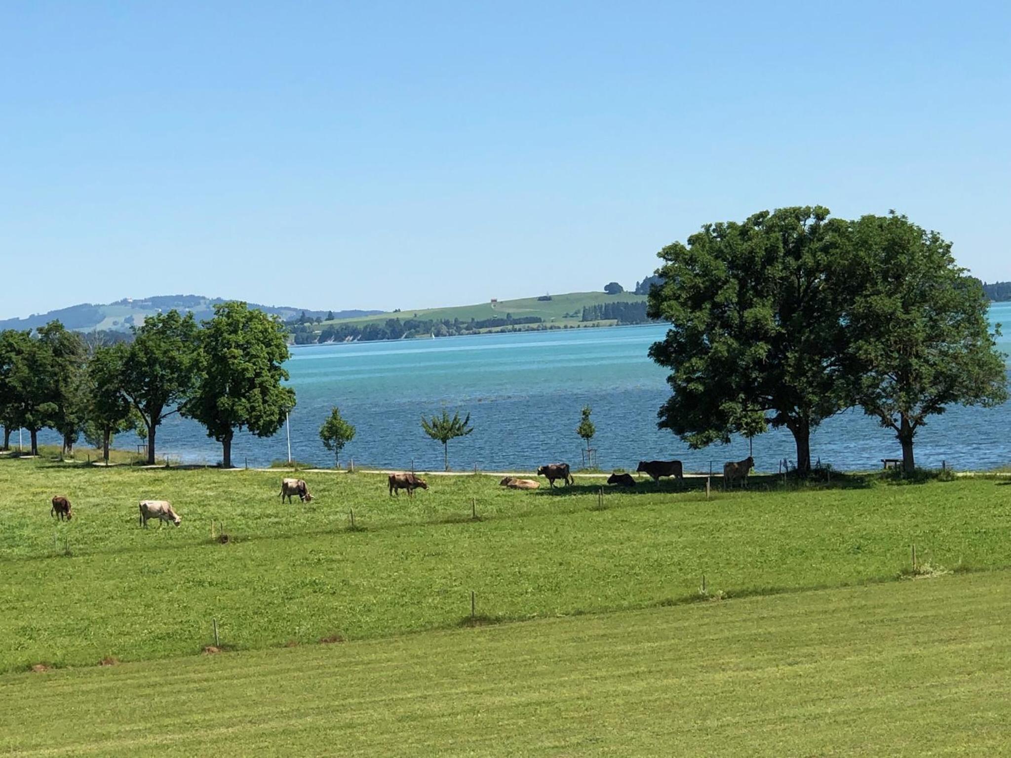 Alpenglück de Luxe Ferienwohnung am Forggensee