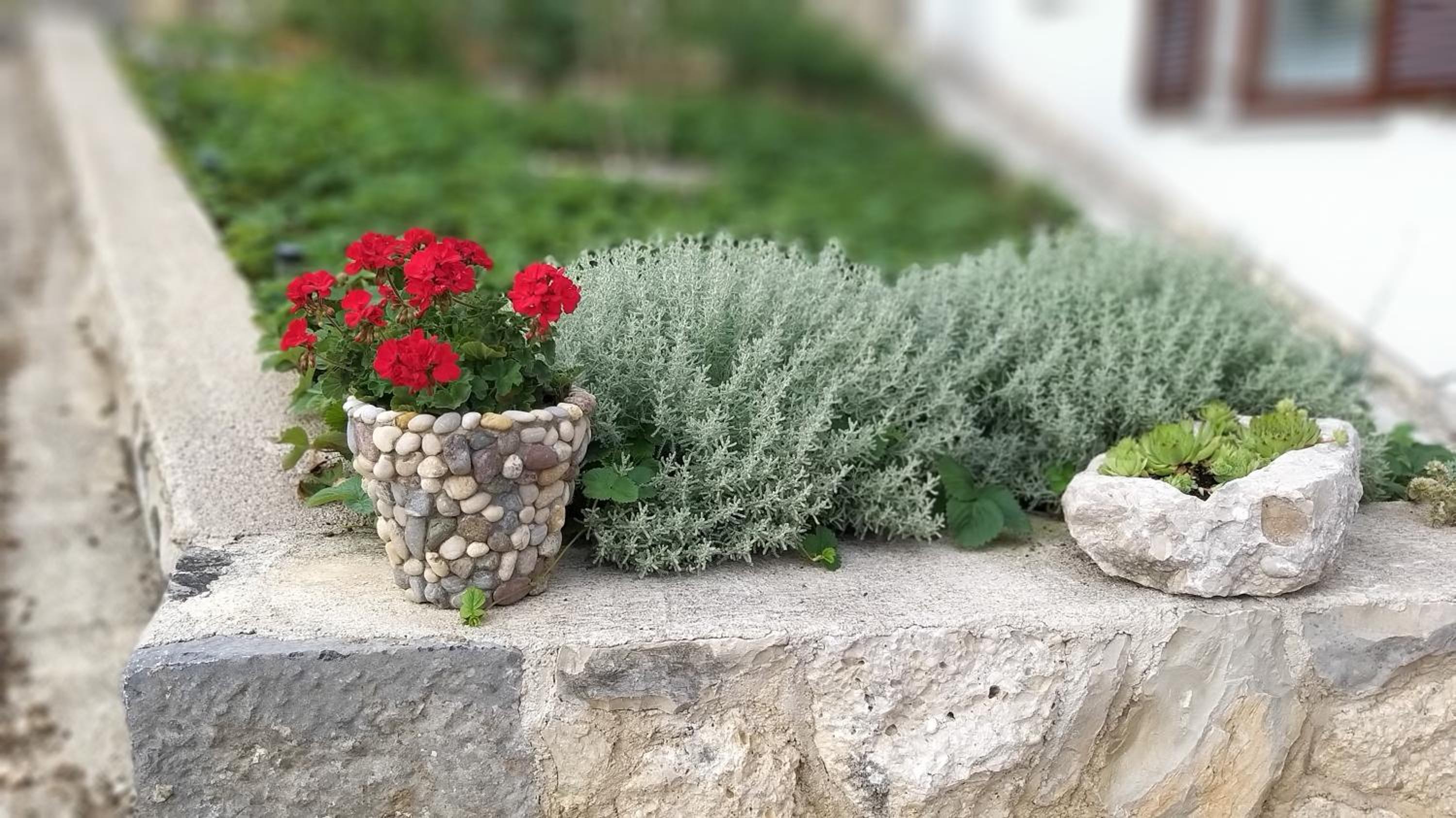 Apartmani Ante