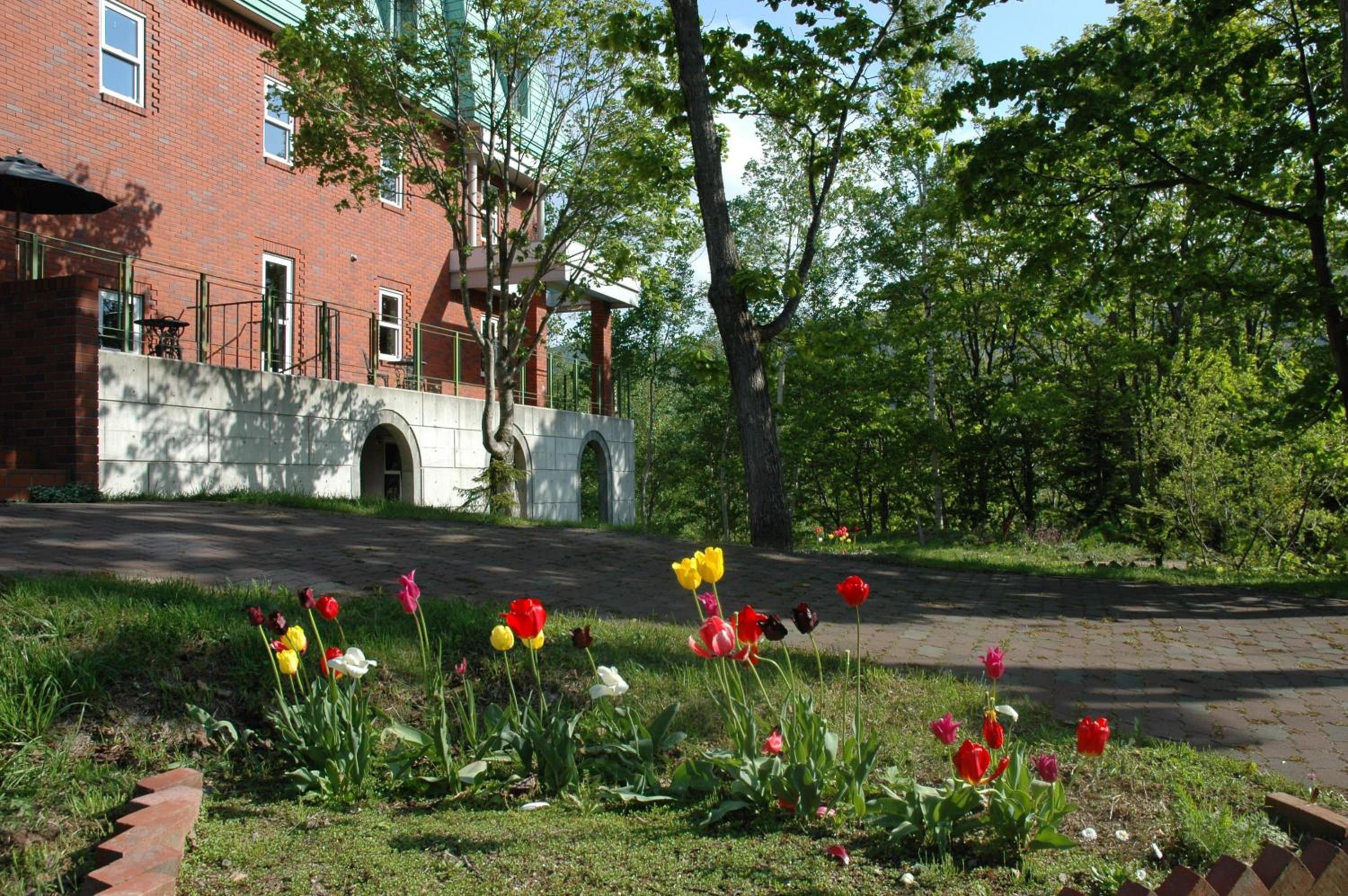 Photo 21