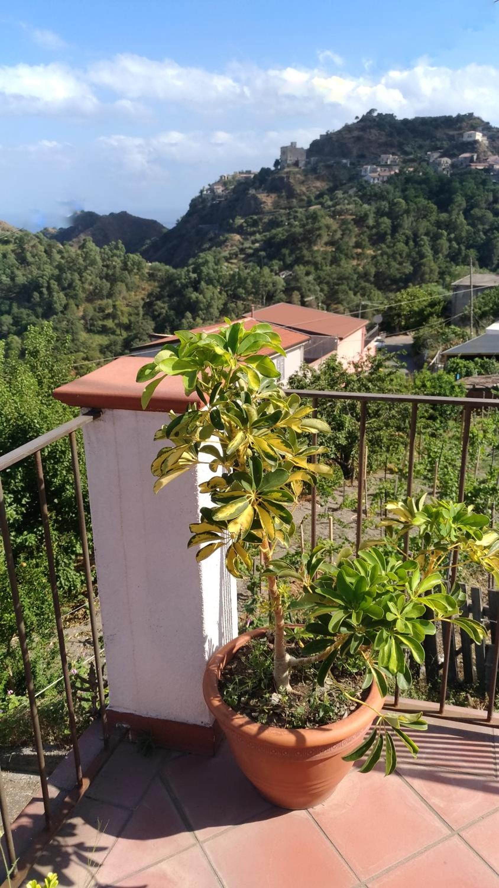 Villa Sarino photo 4