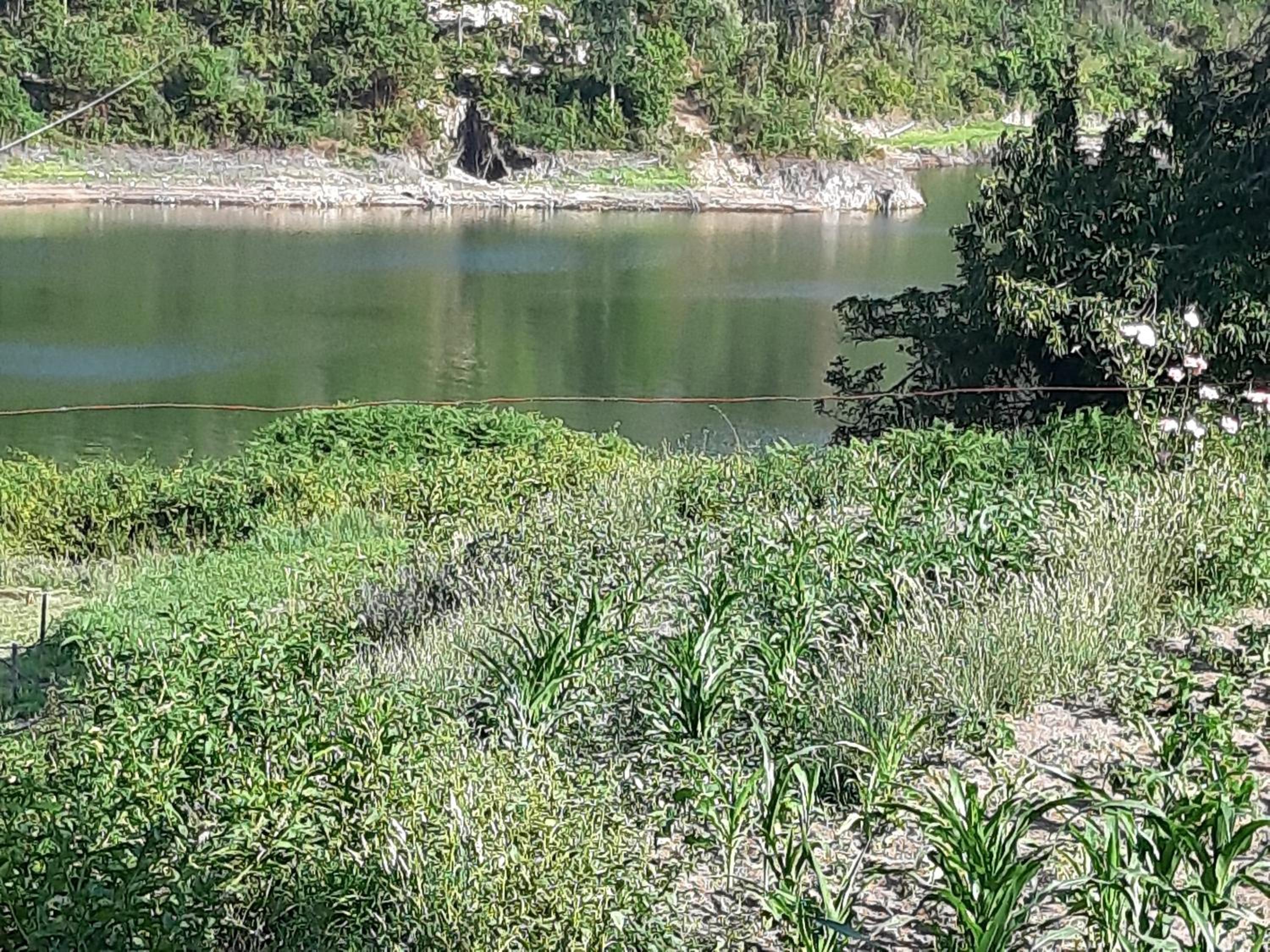 River House Sejães view 3