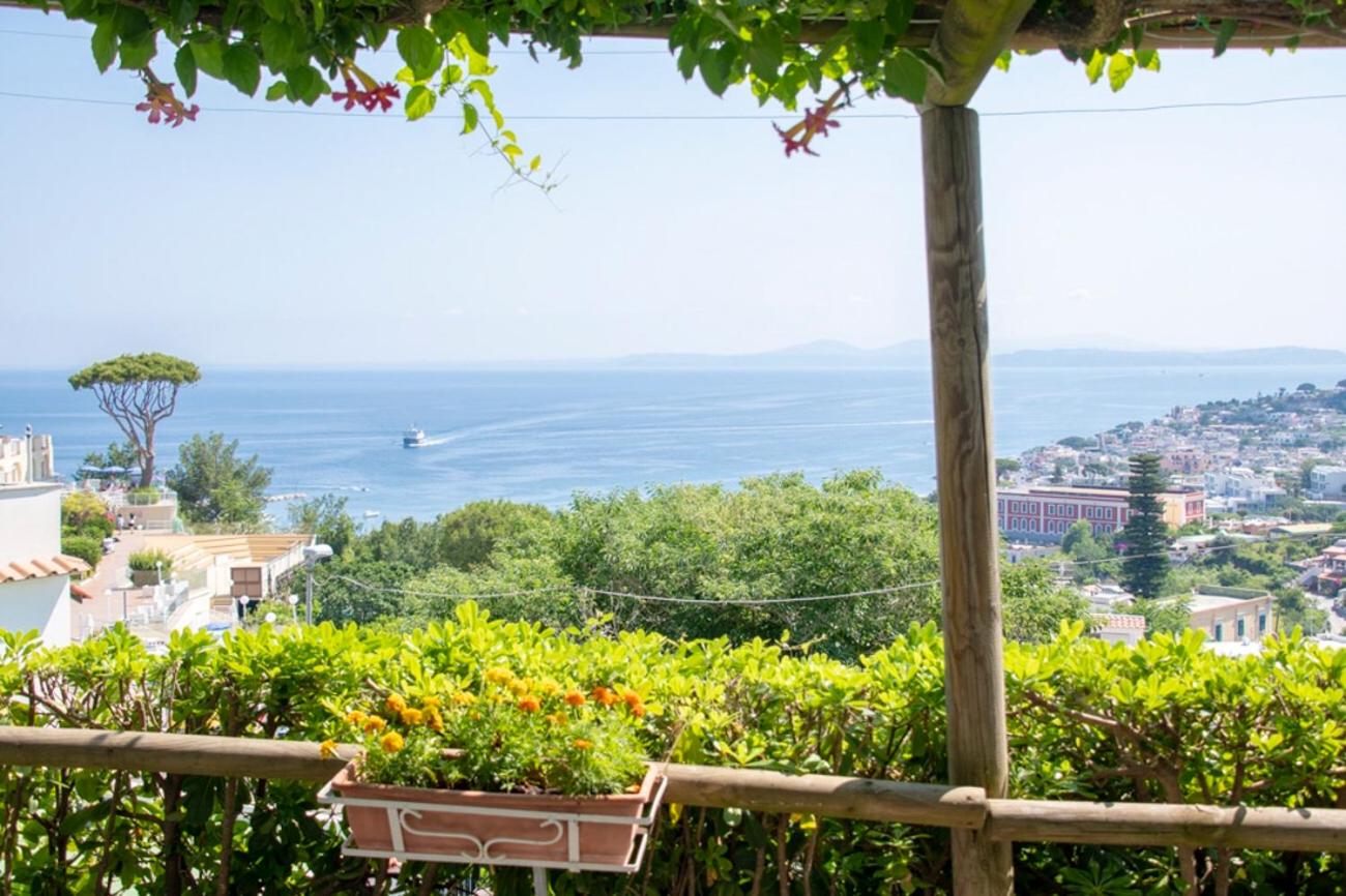 Guesthouse Coralba