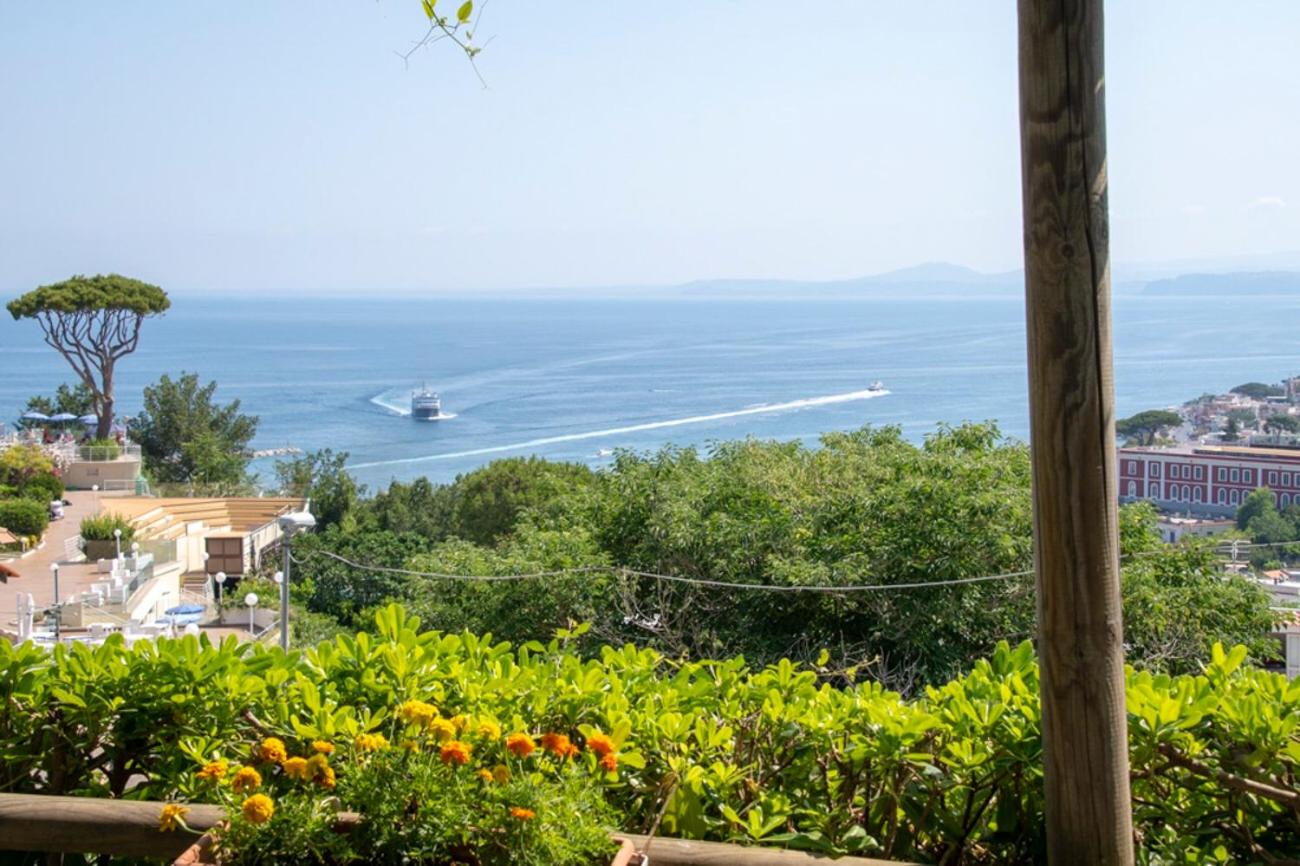 Guesthouse Coralba