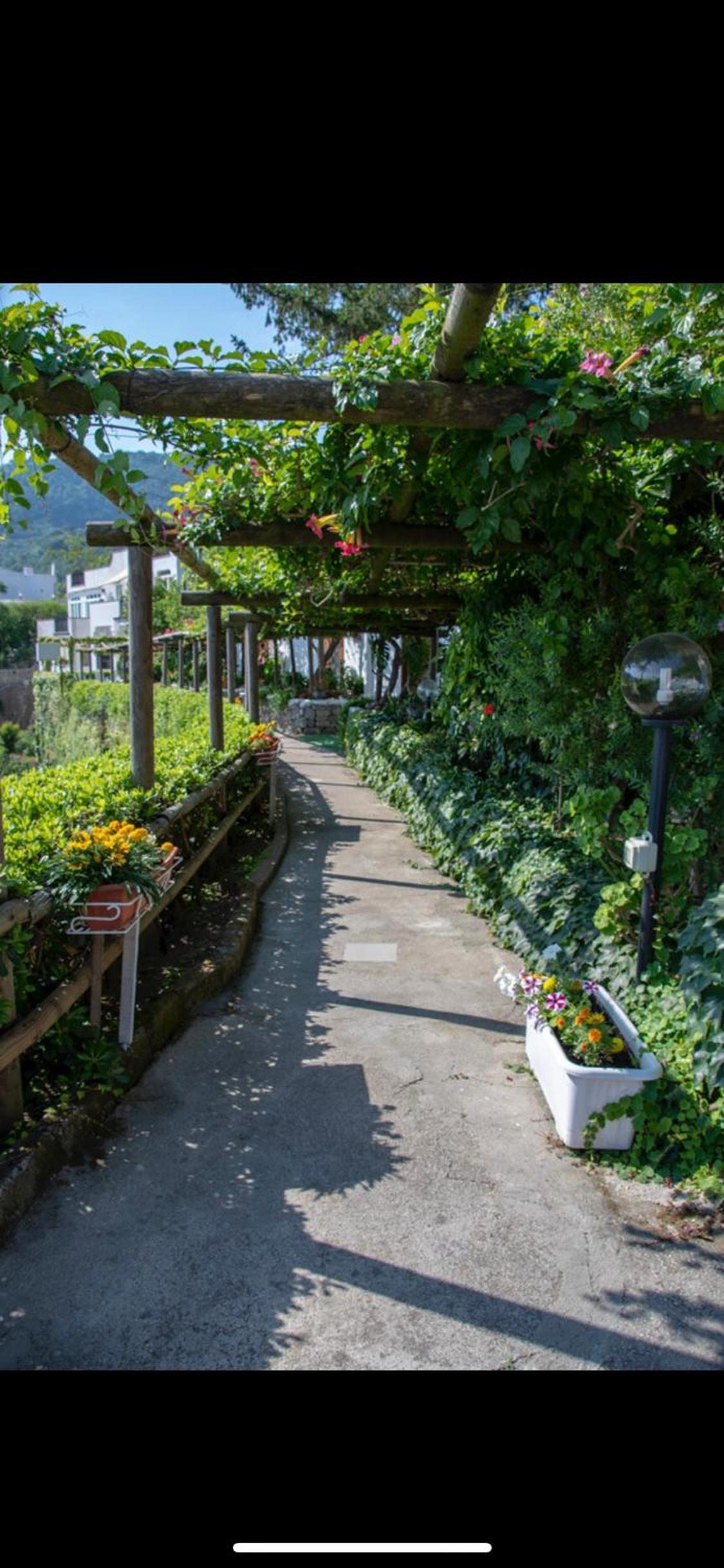 Guesthouse Coralba