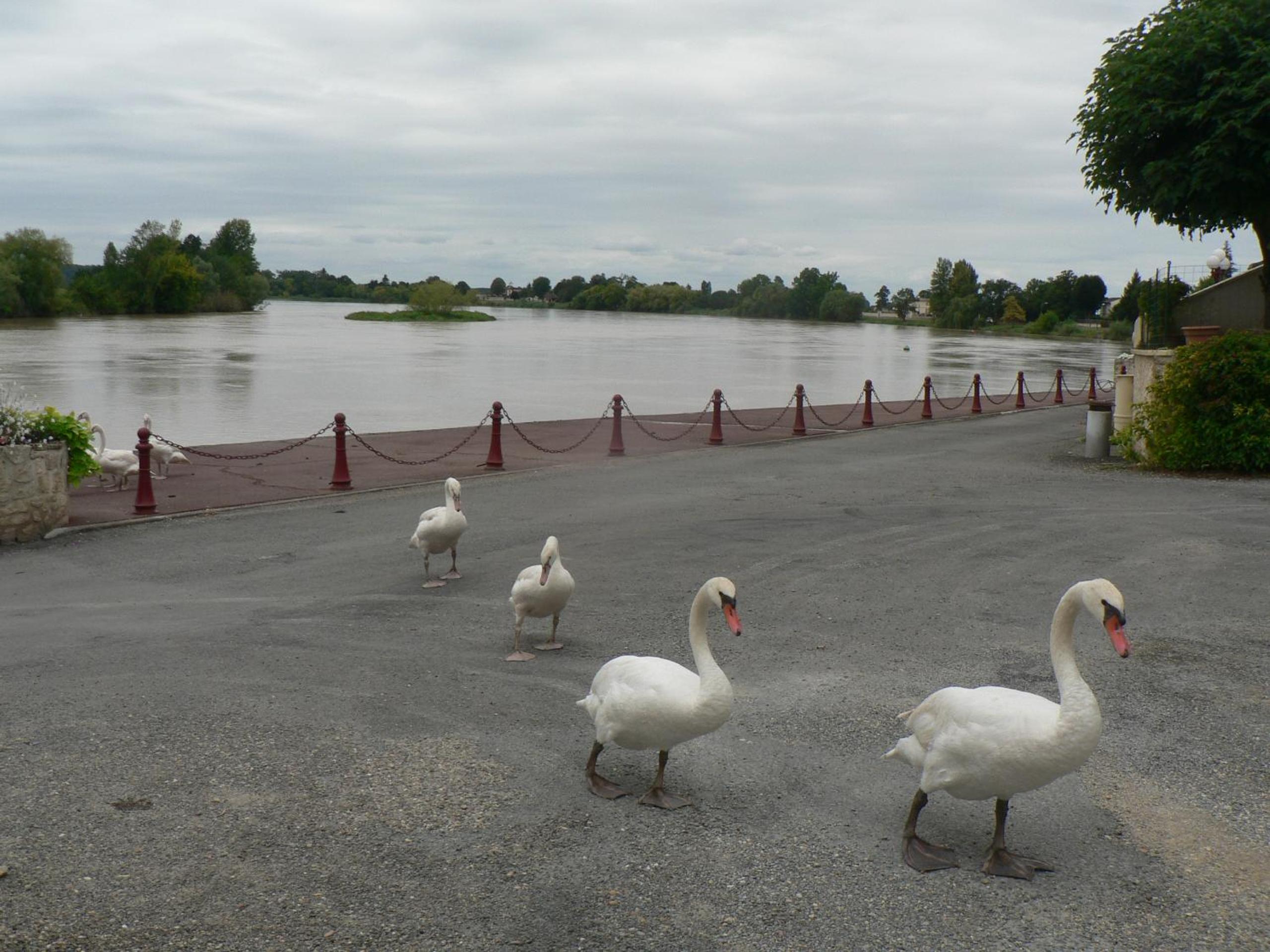 Gites Lacale face à la rivière