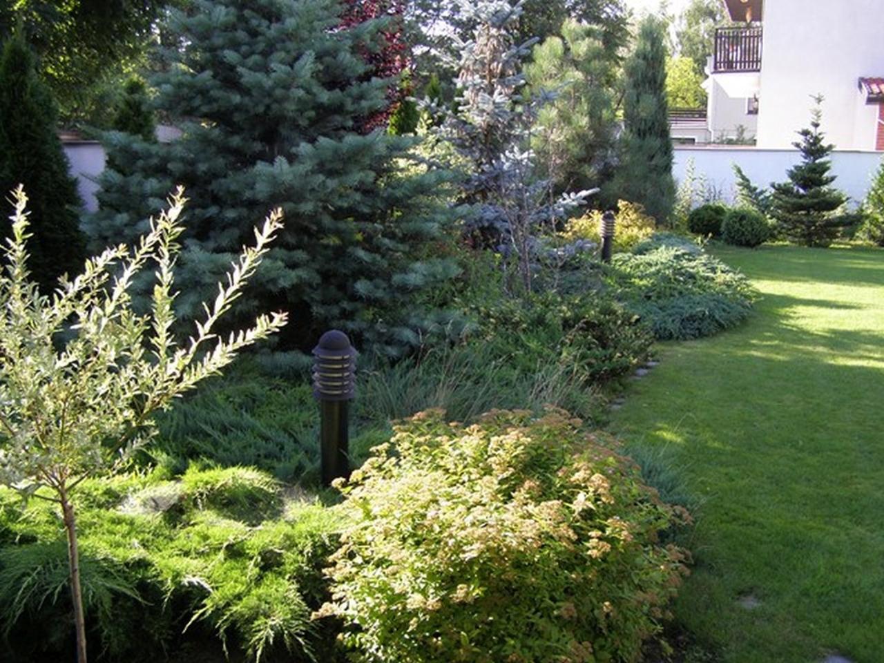 Photo 45