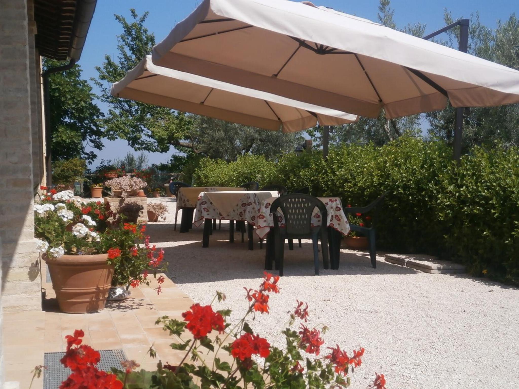 Tenuta Colverano