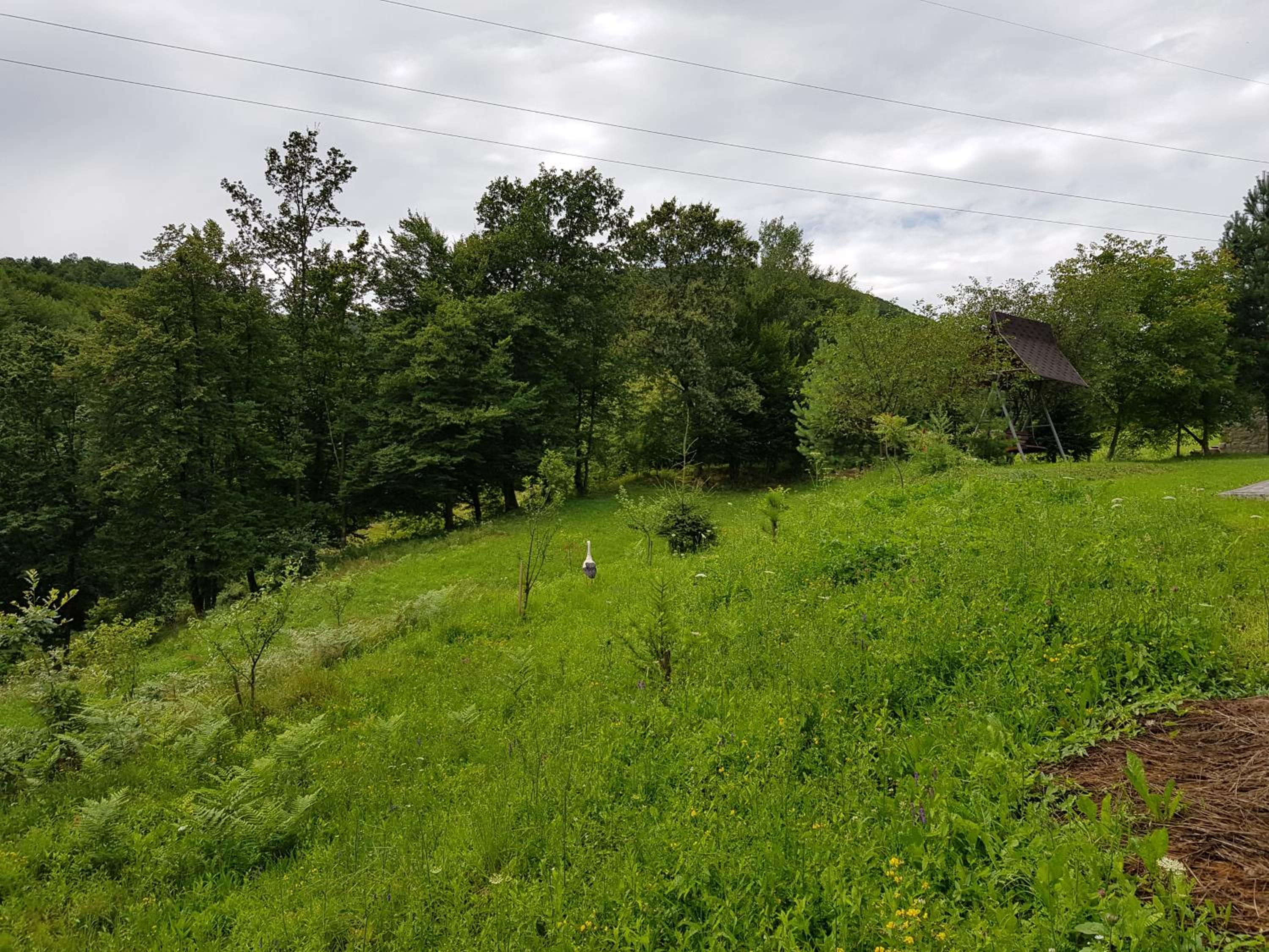 Photo 55