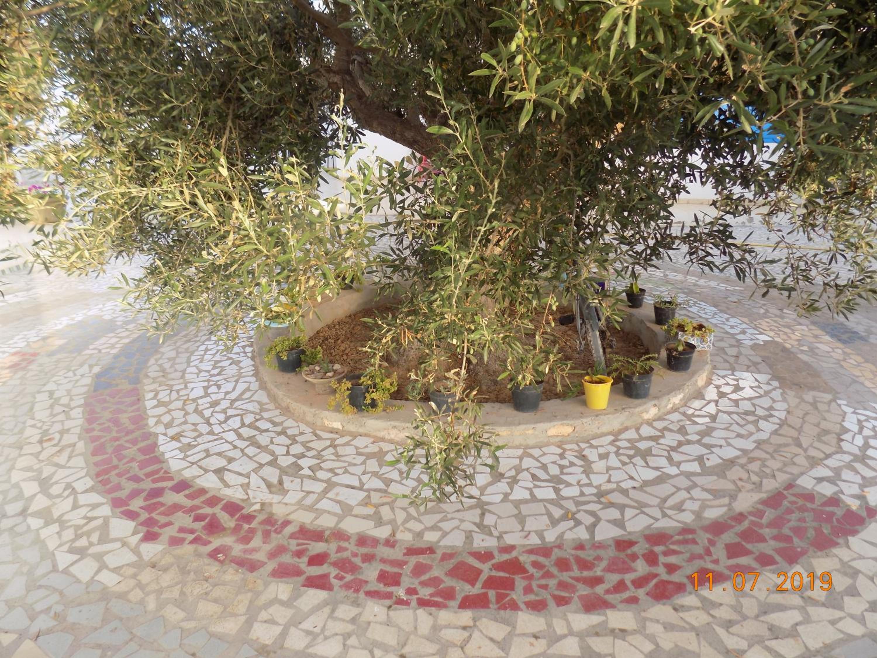 Dar Mamina