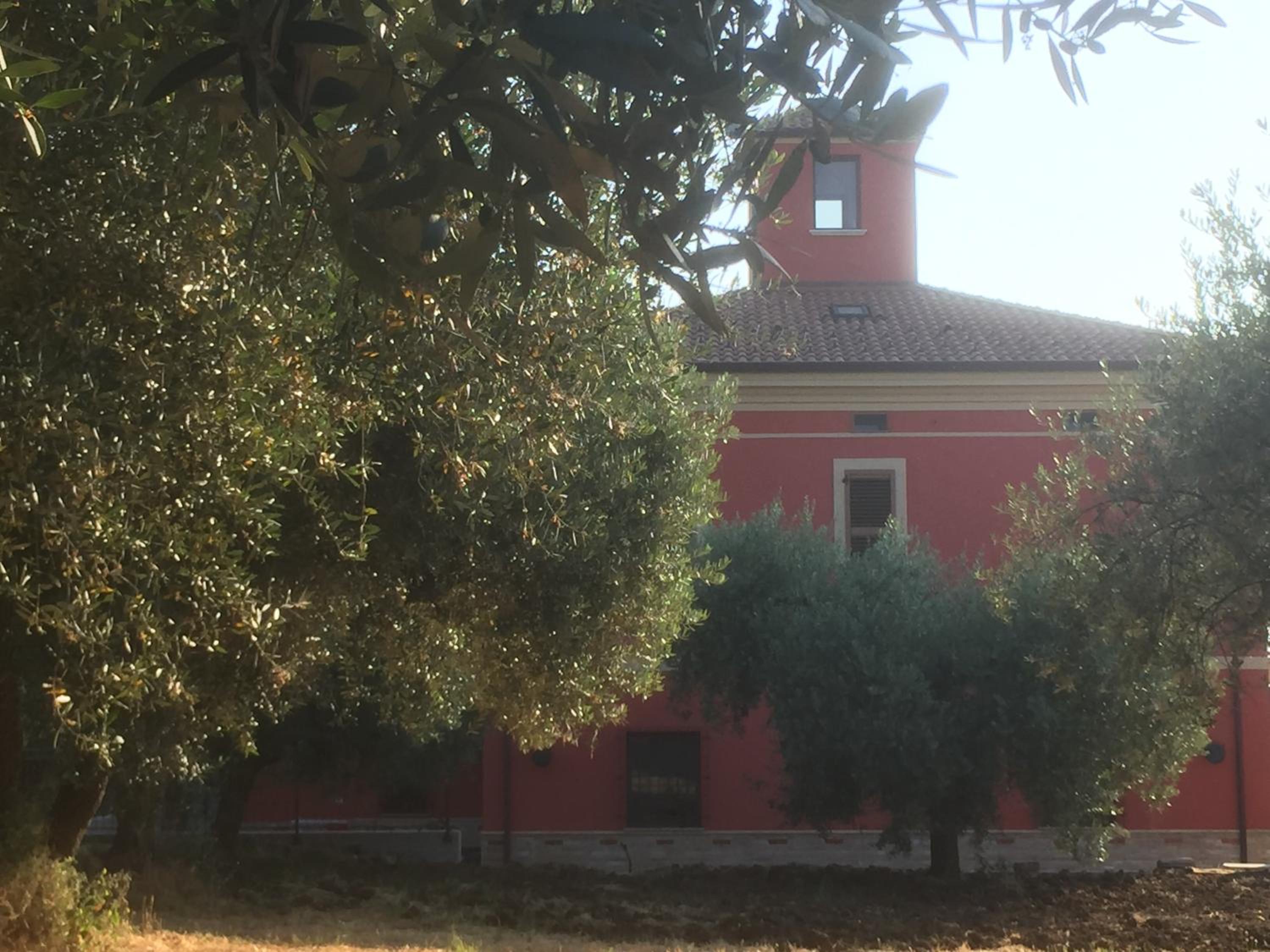 Tenuta Porello