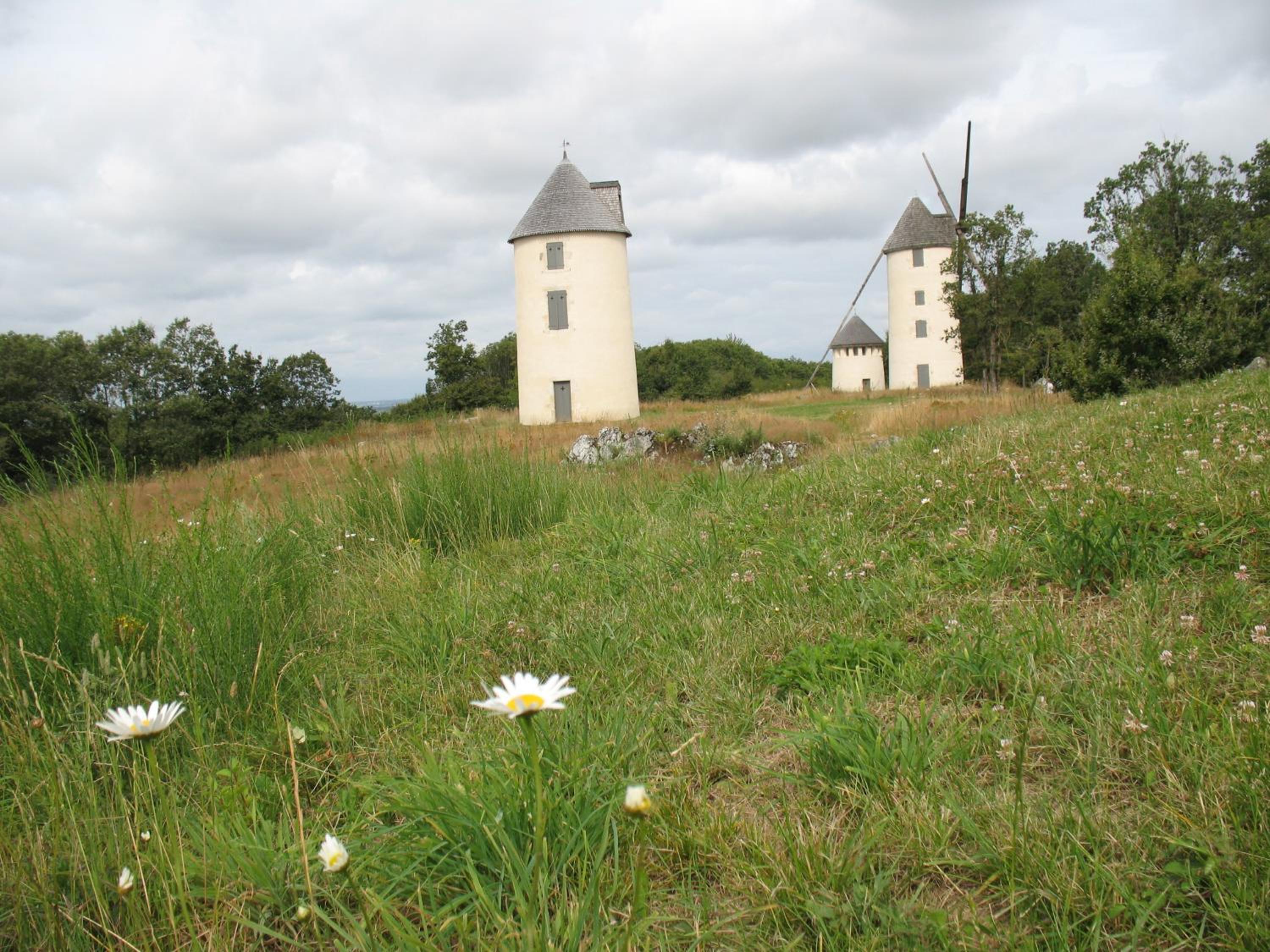 Photo 23