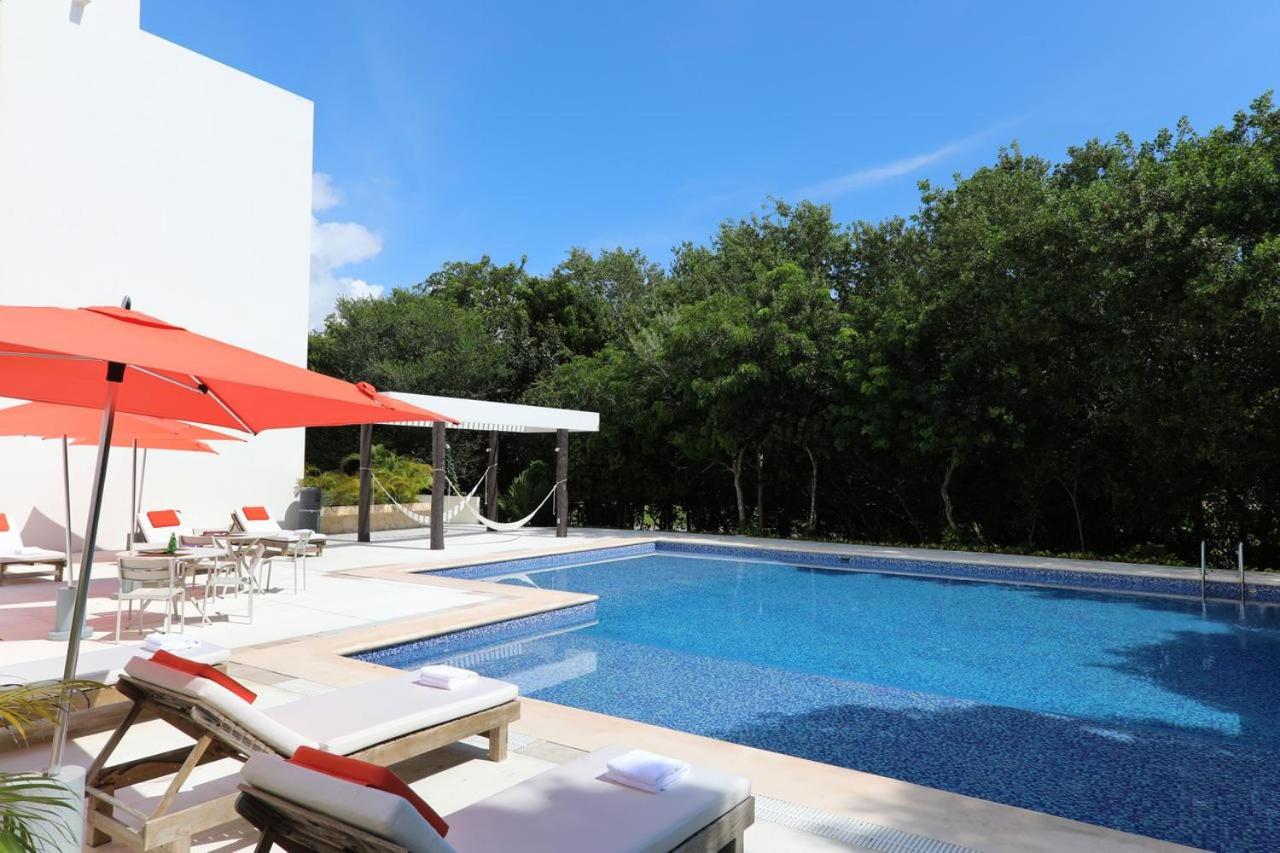 Quetzal Apartment view 5