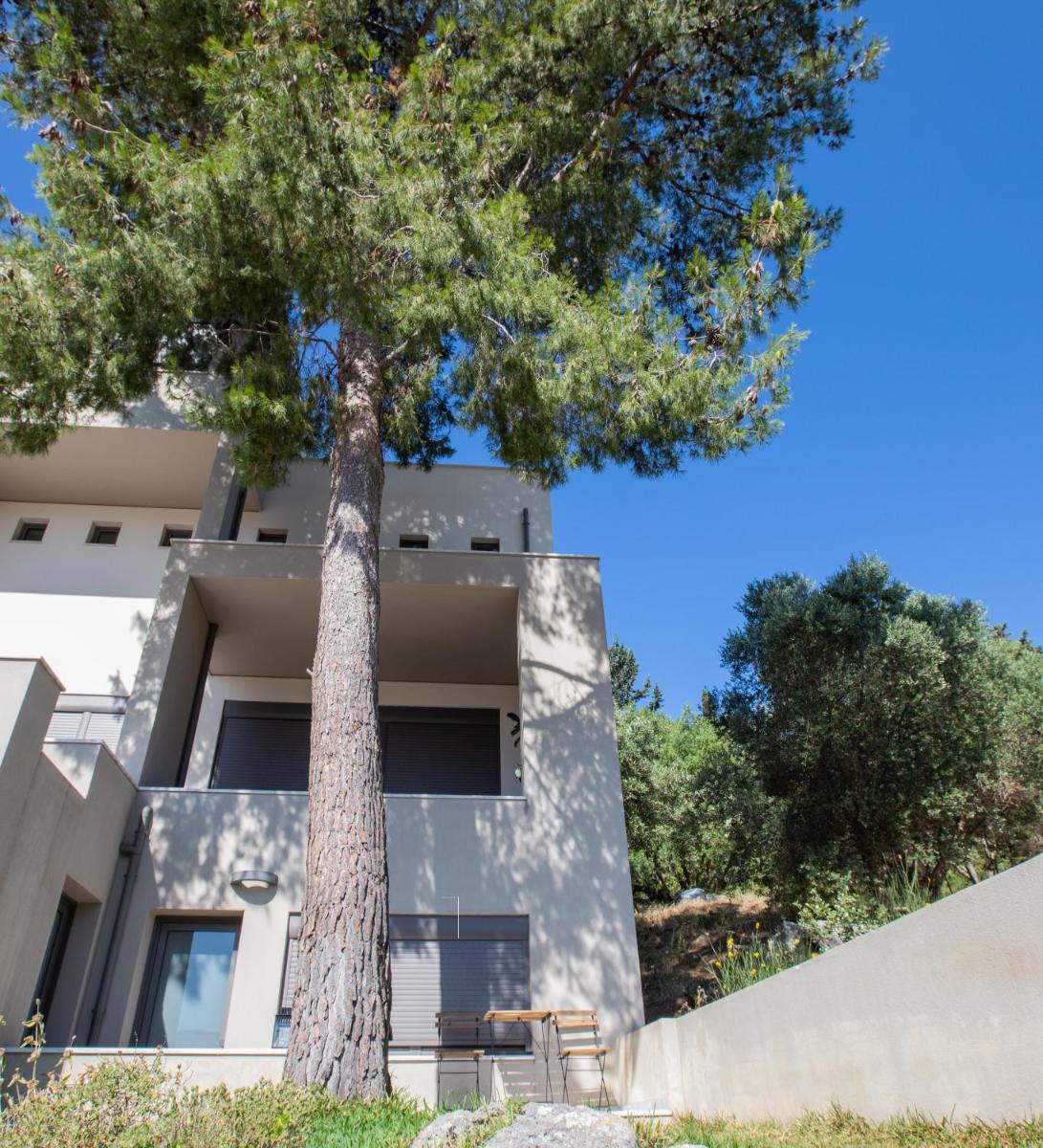 The Pine Flat photo 2