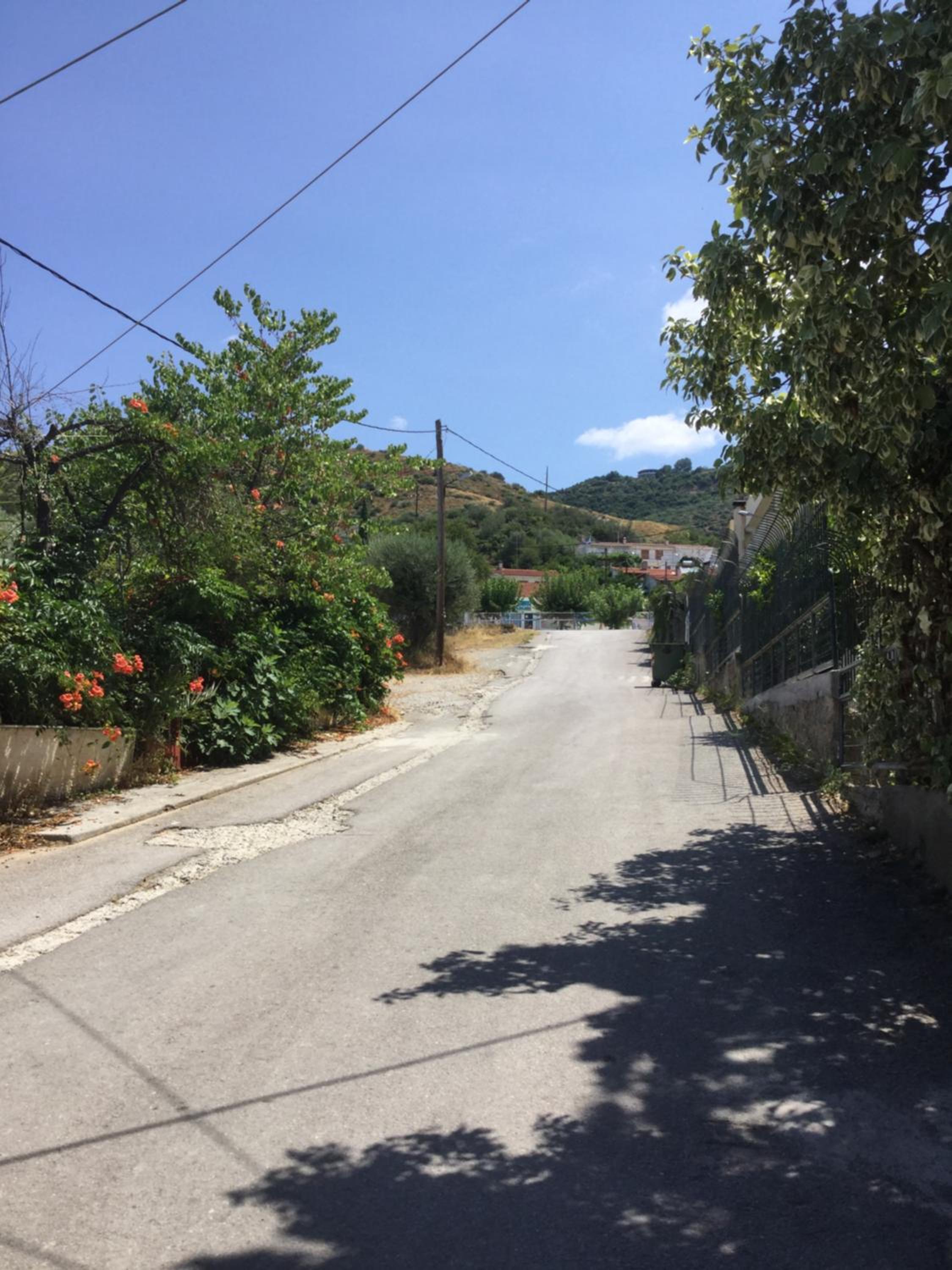 Photo 46
