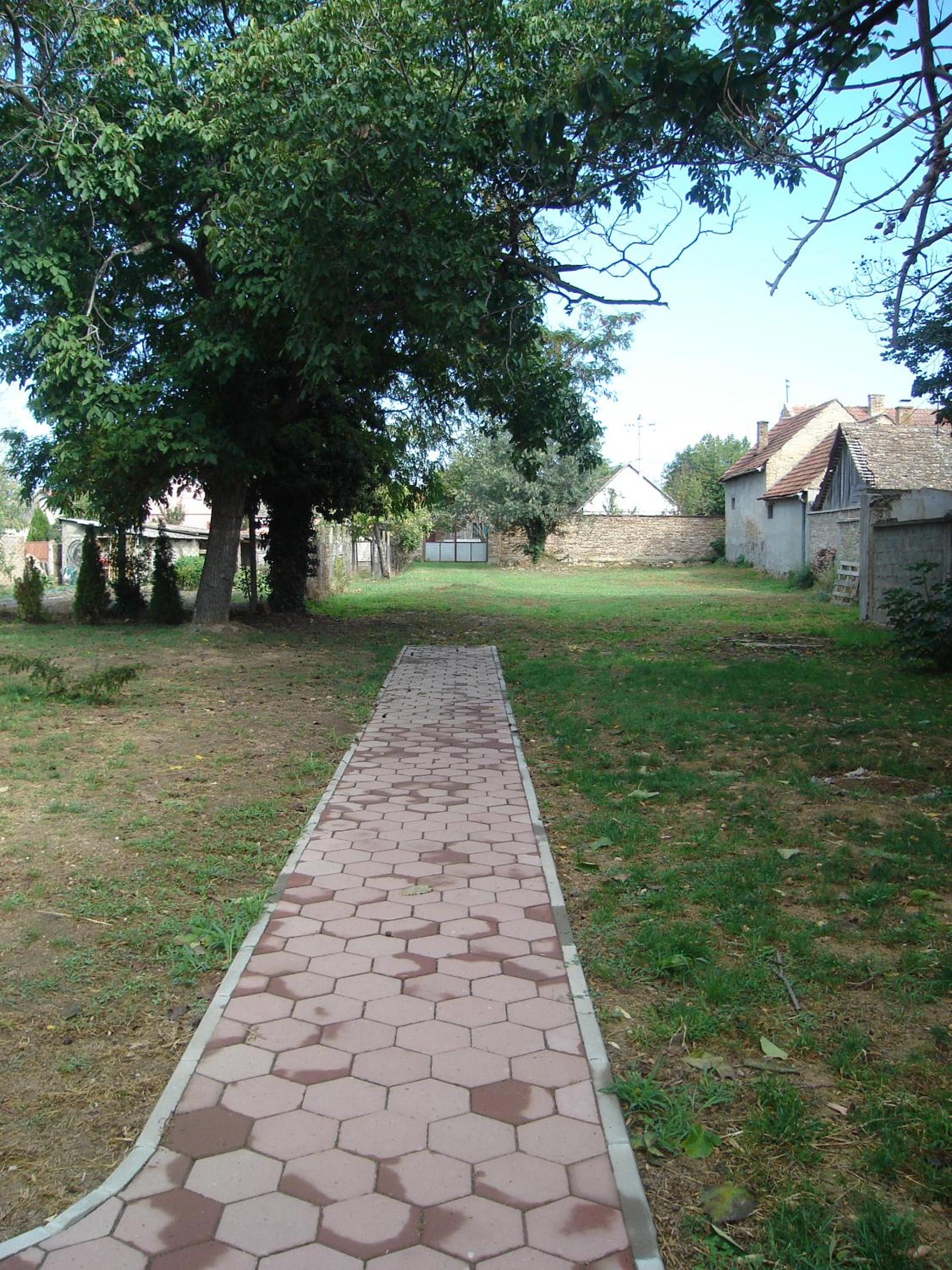 Photo 45