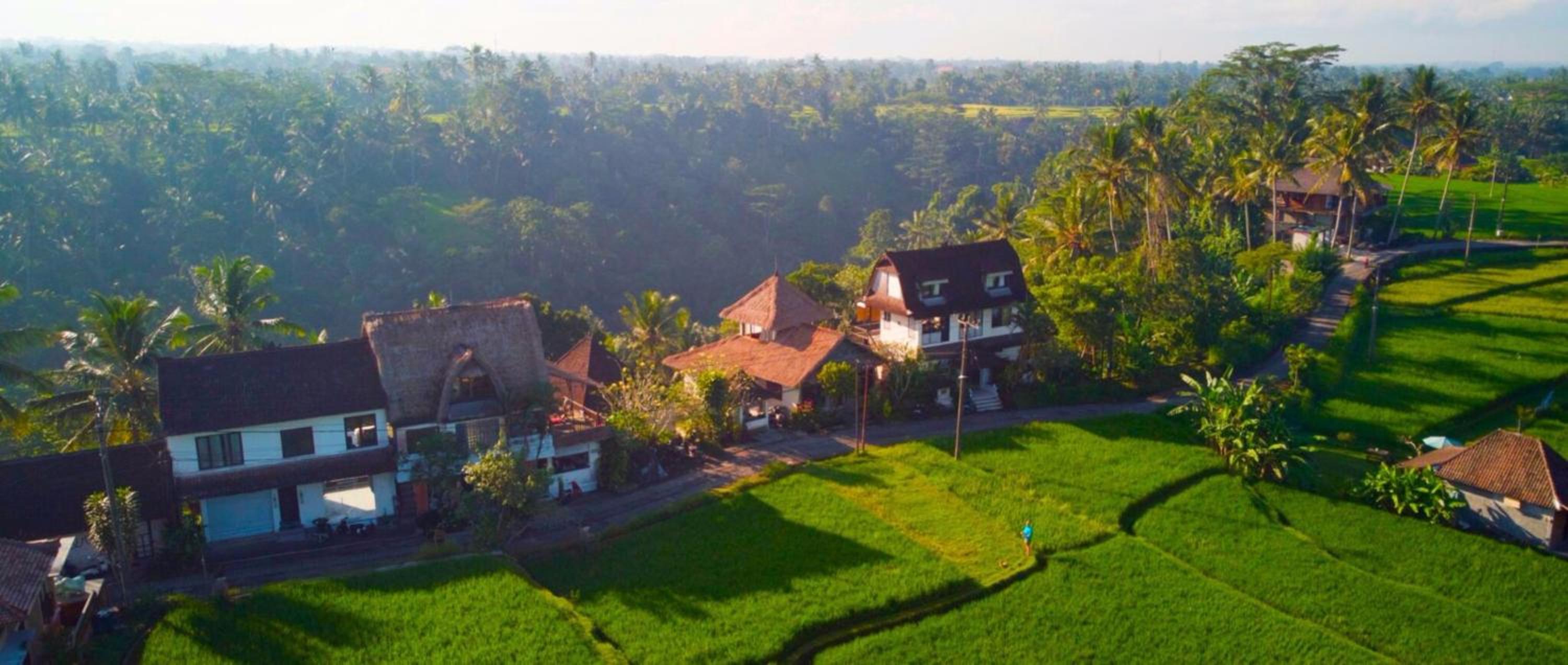 Hotel Made Punia's Jungle - Image 1