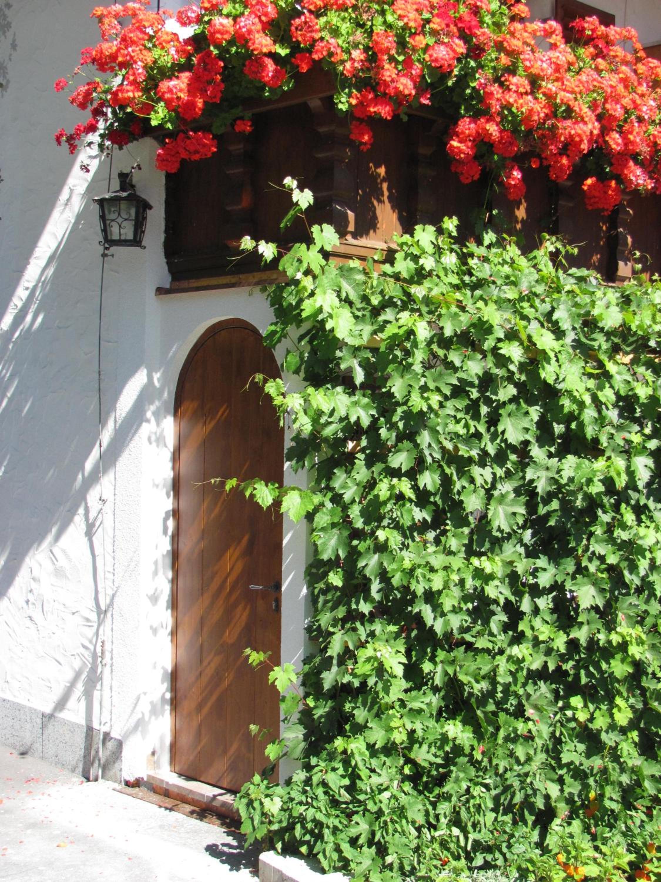 Pension Danler