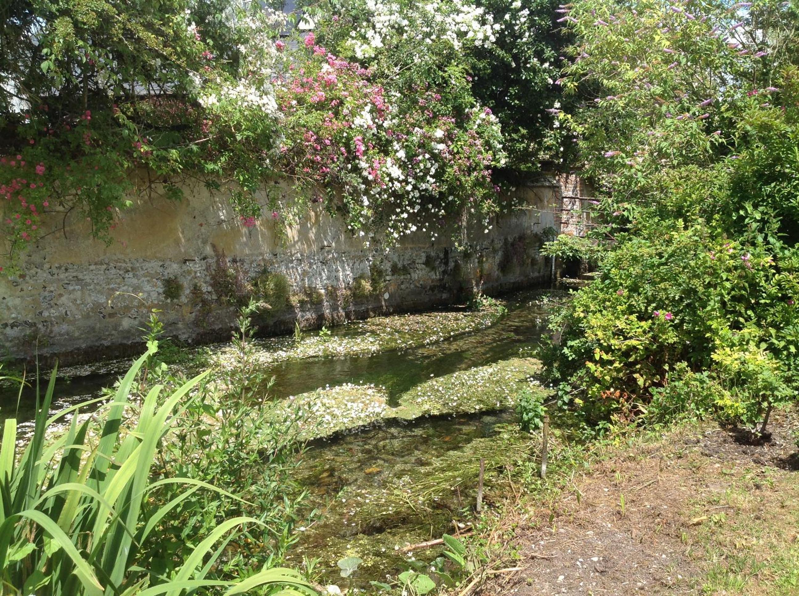 Photo 33