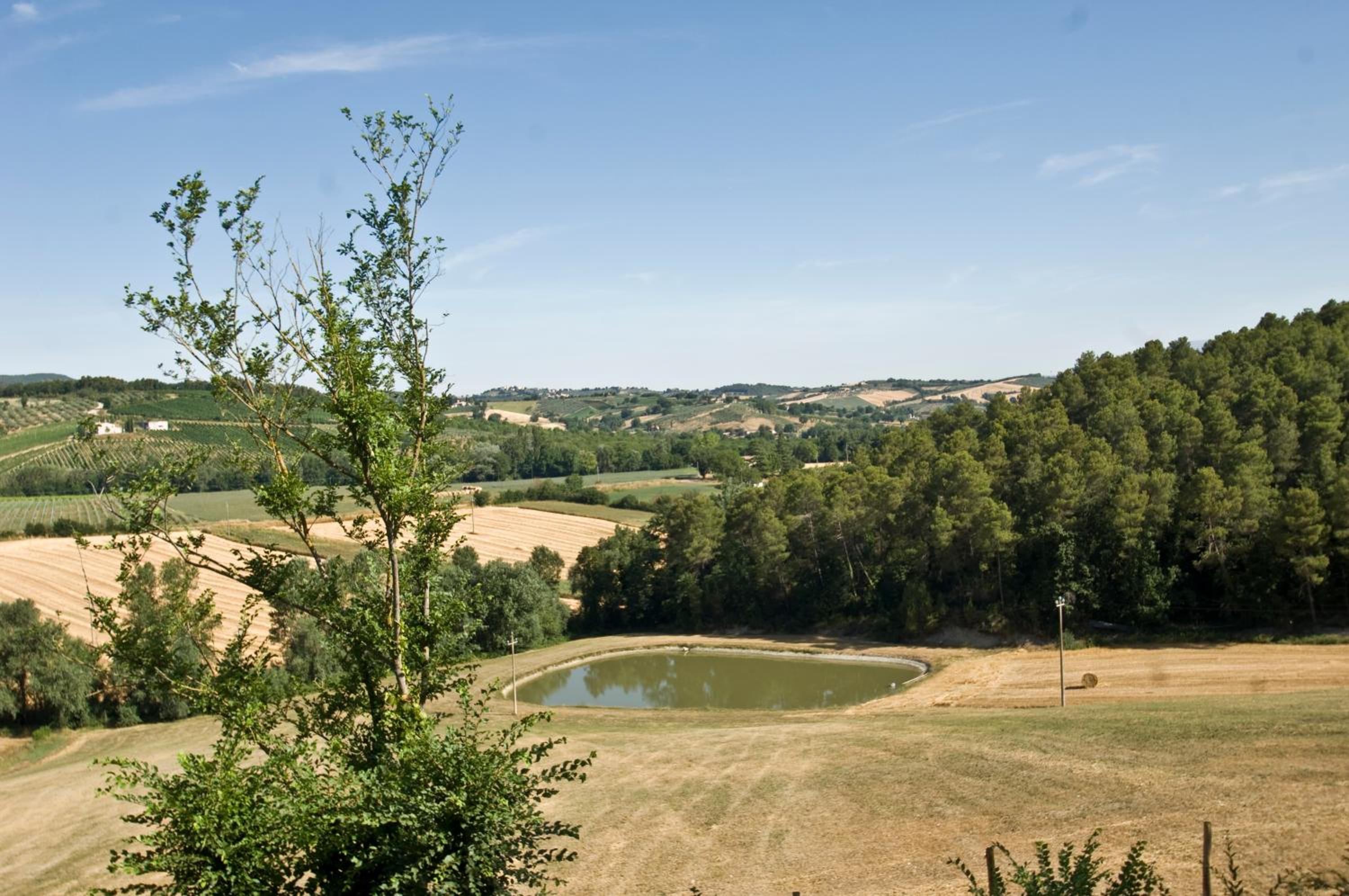 Casale del Monsignore
