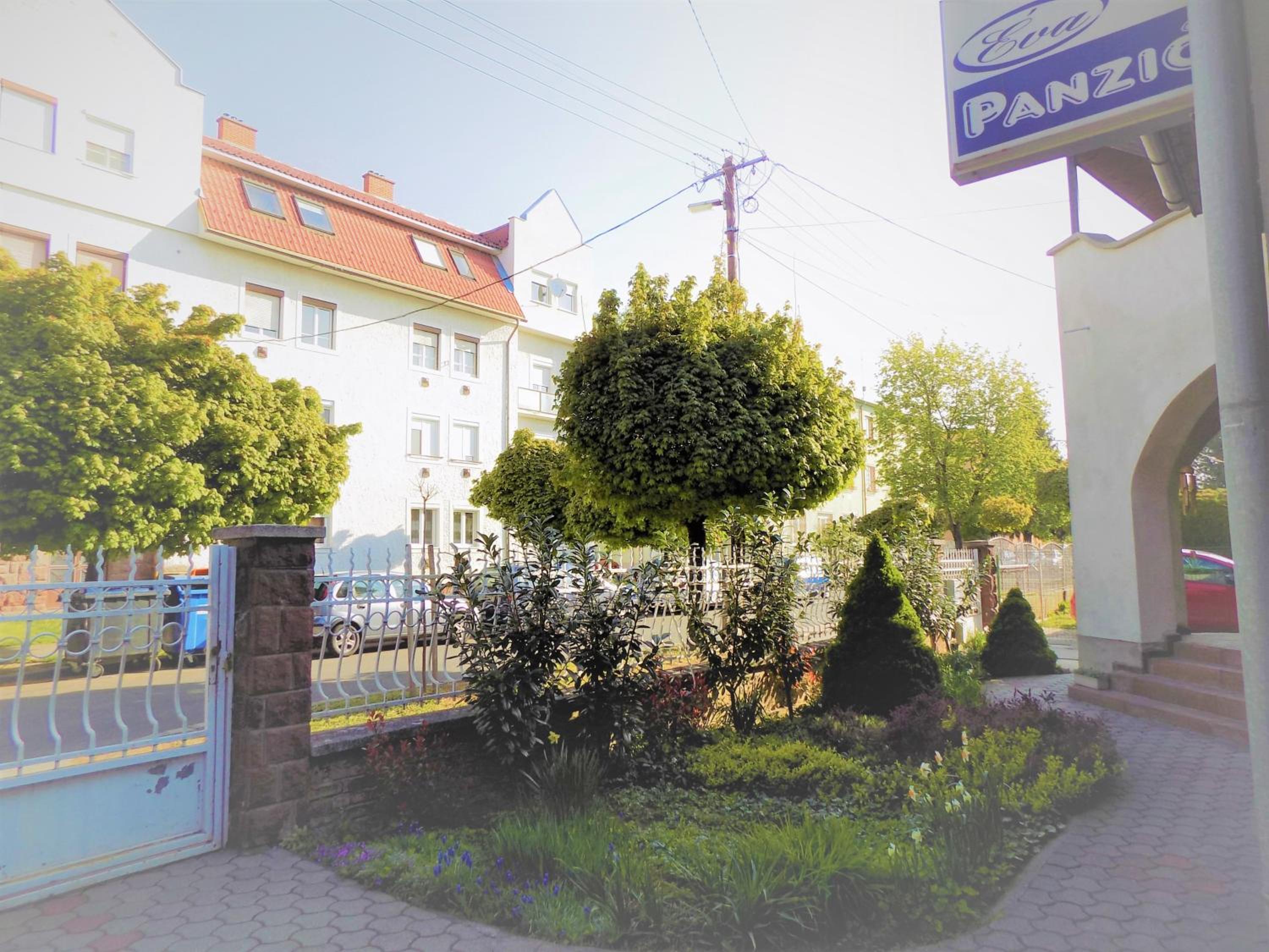 Photo 19