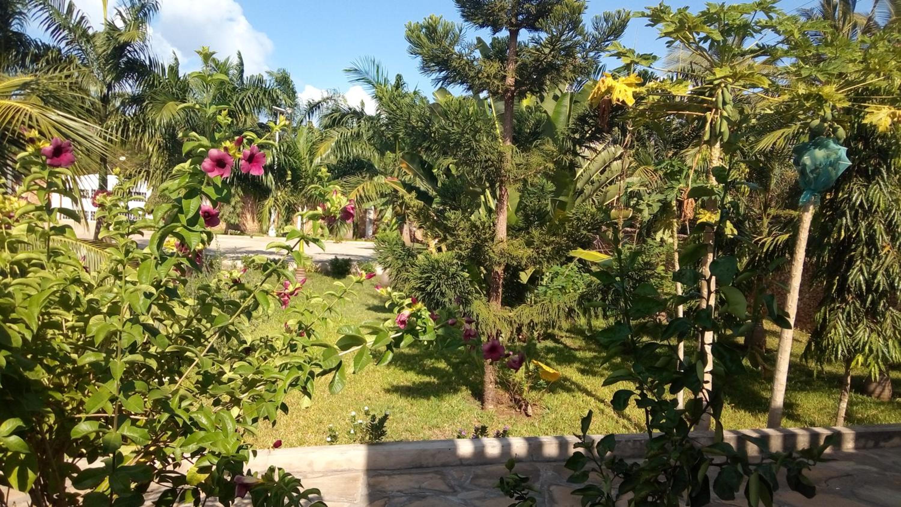 Queens Chateau Boutique Villa