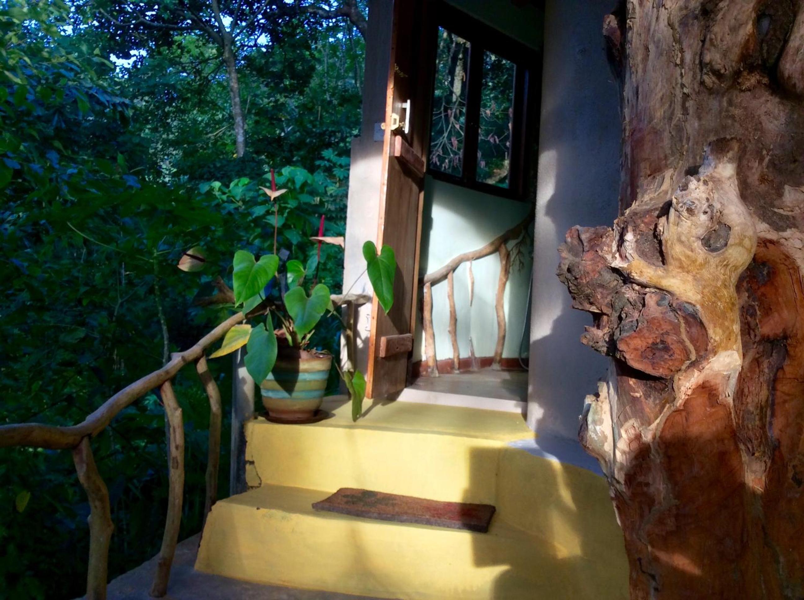 Natural Mystic Sanctuary