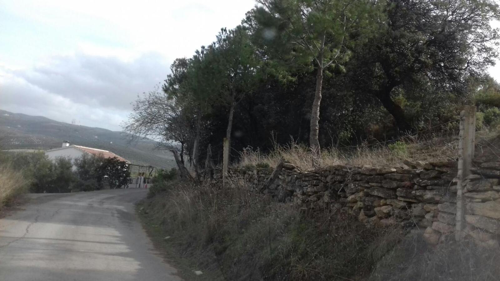 Alojamiento Rural Luís y María view 2