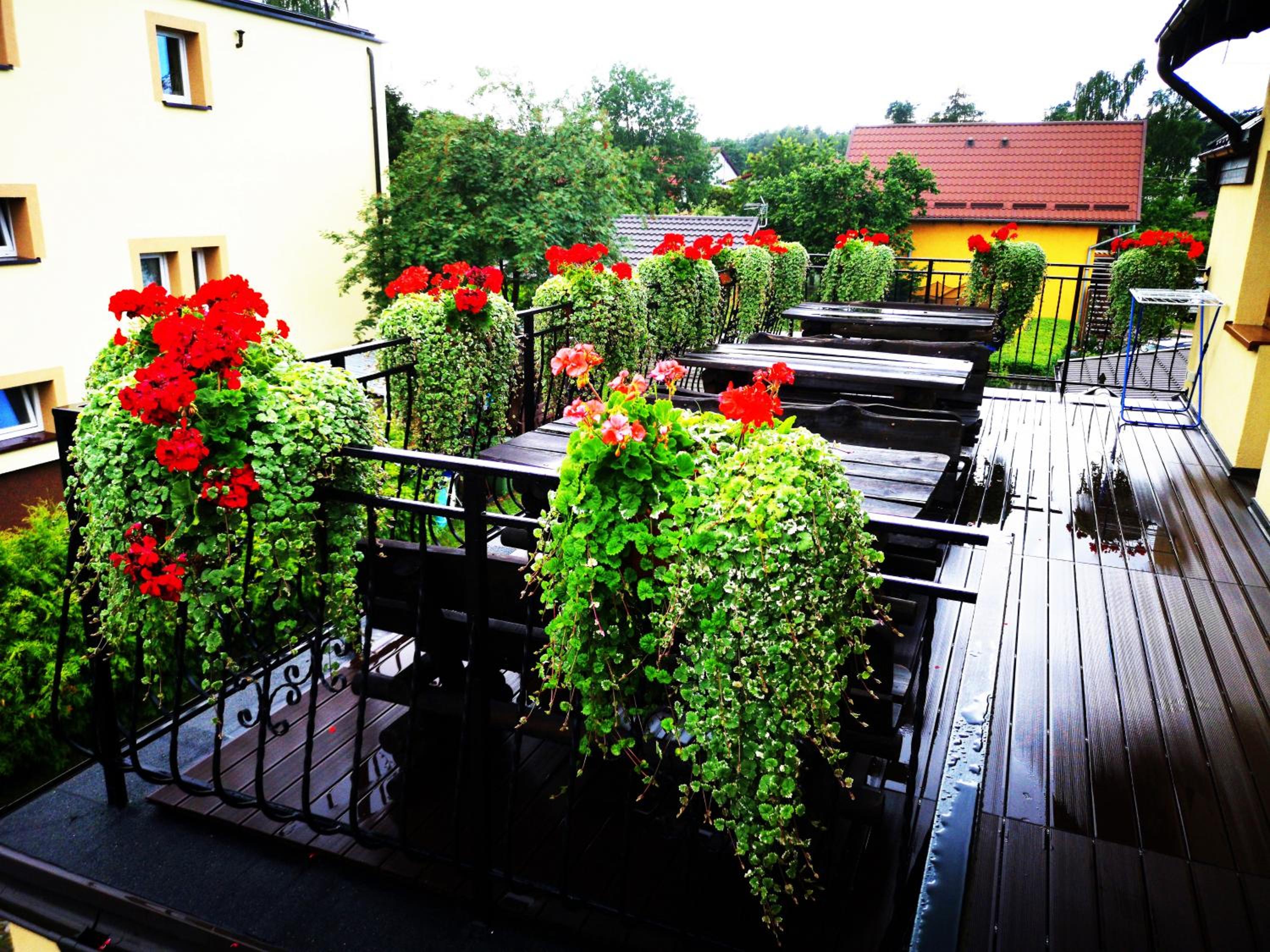 Photo 43