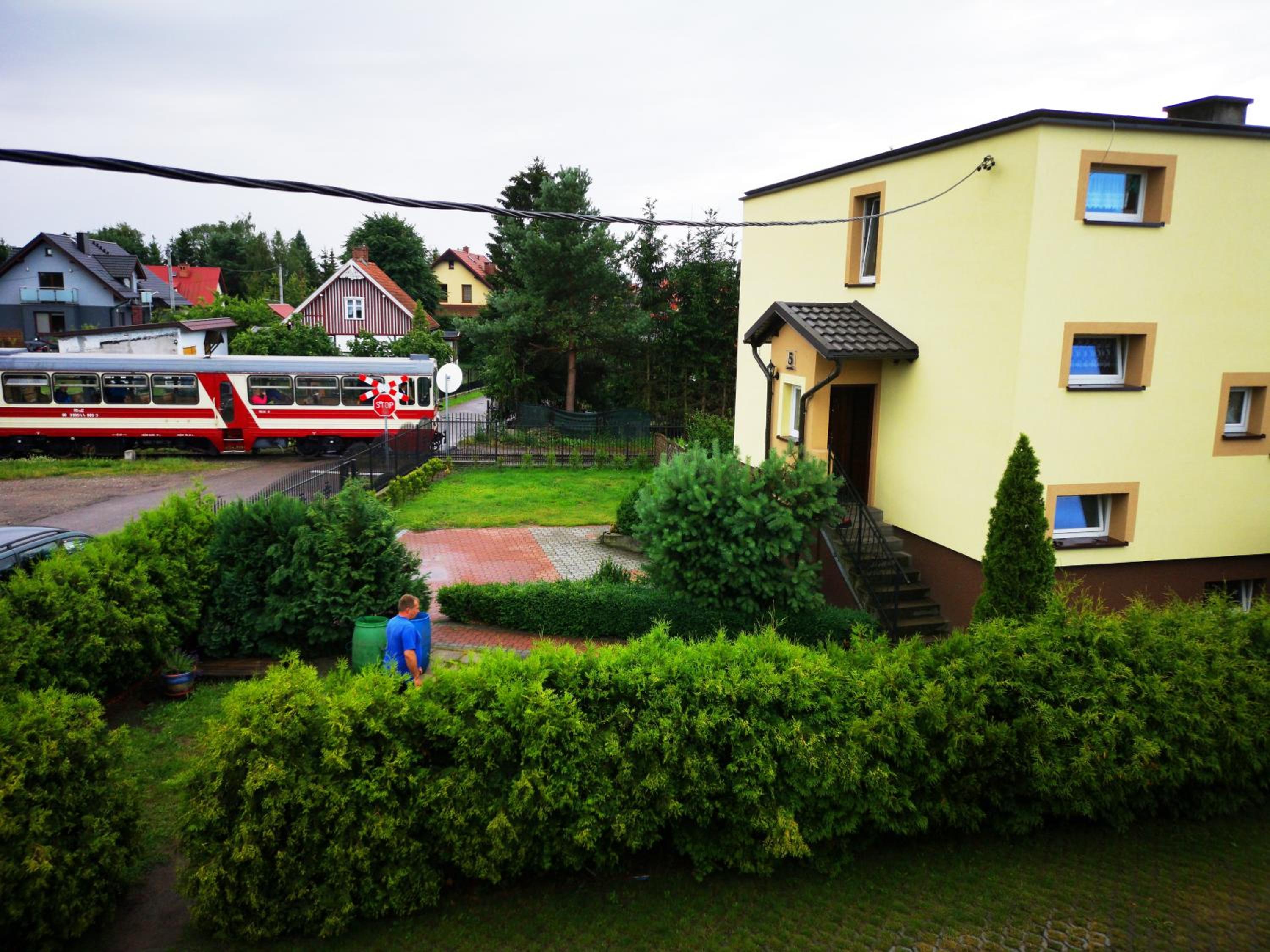 Photo 42